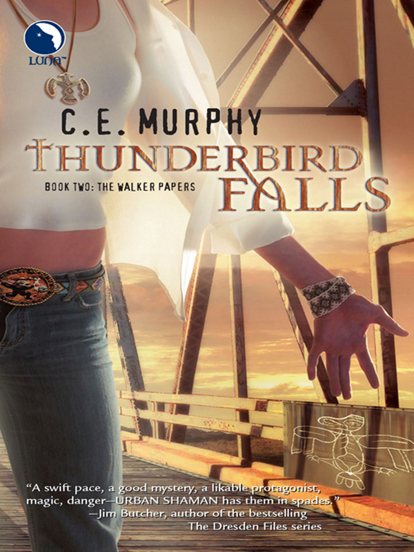 Обложка книги «Thunderbird Falls»