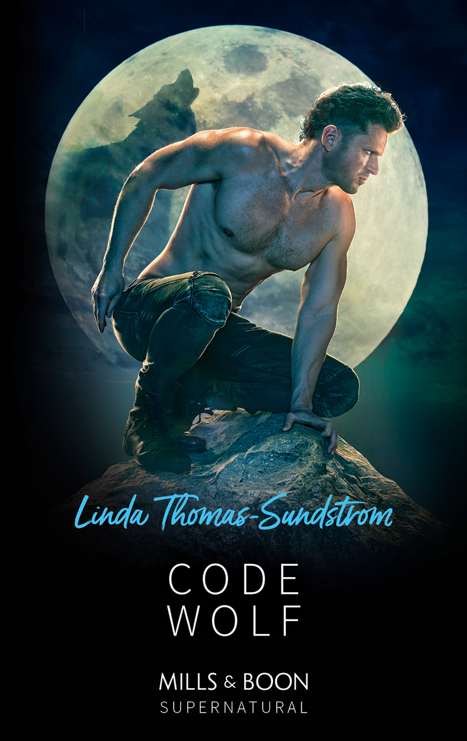 Обложка книги «Code Wolf»