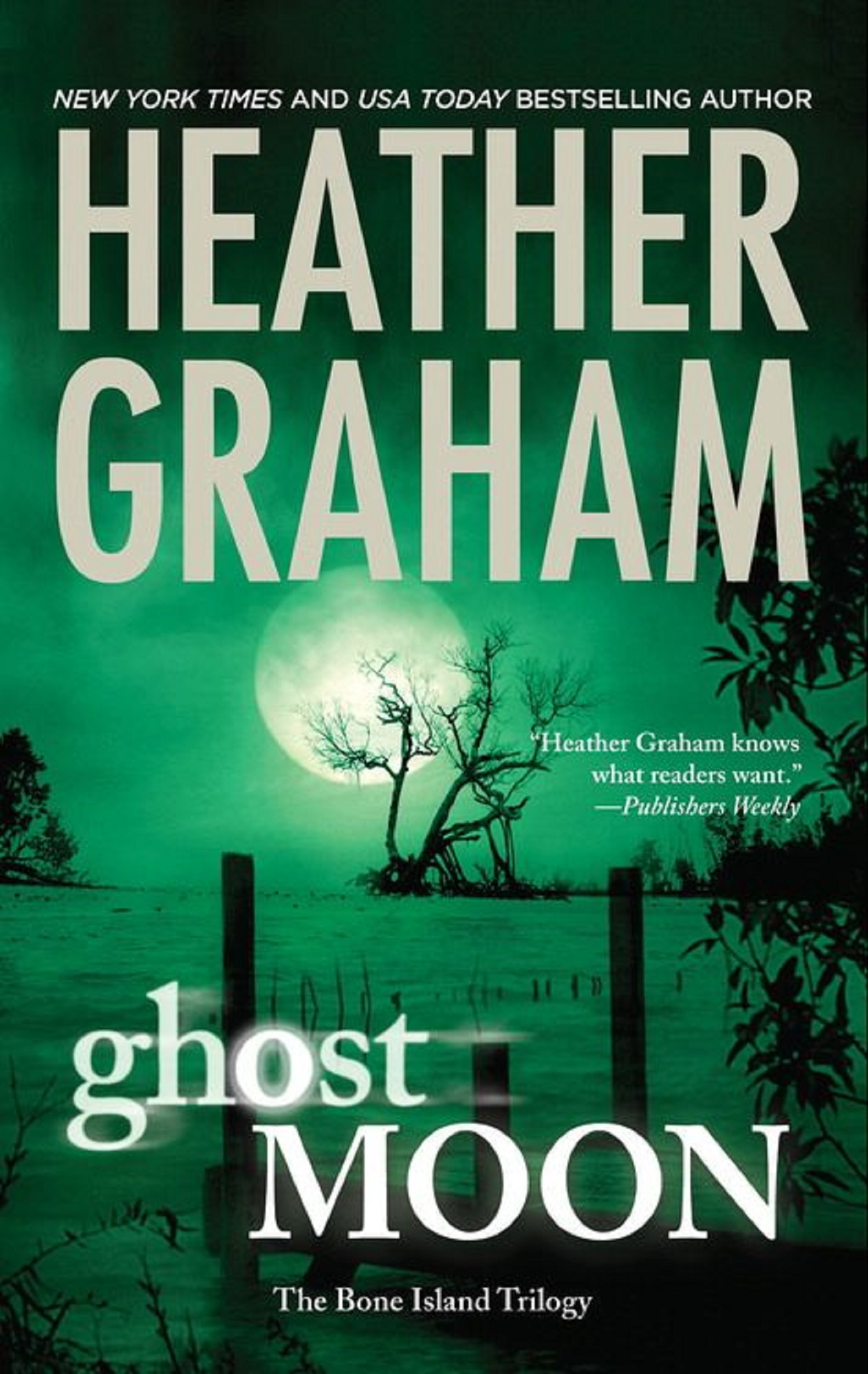 Обложка книги «Ghost Moon»