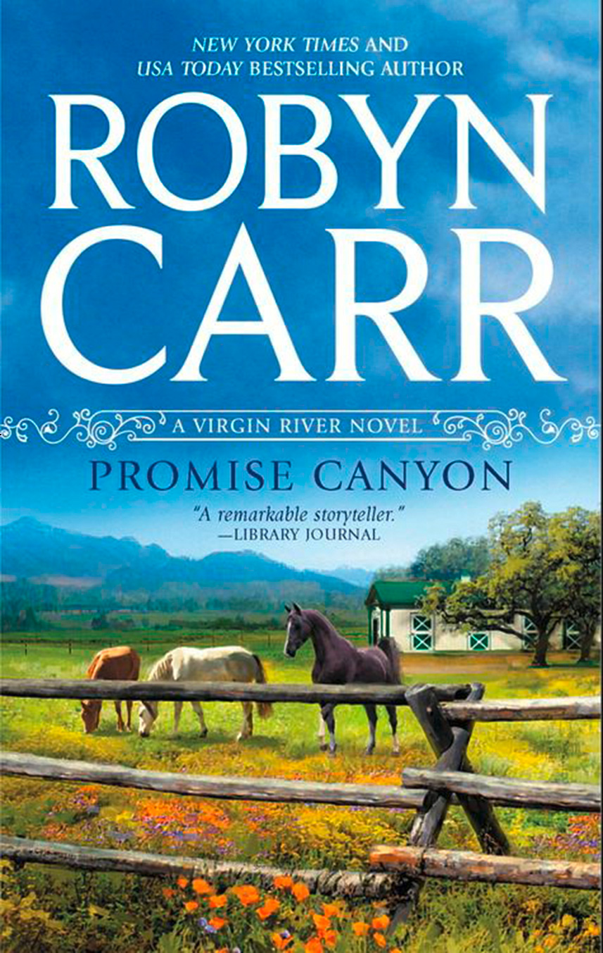 Обложка книги «Promise Canyon»
