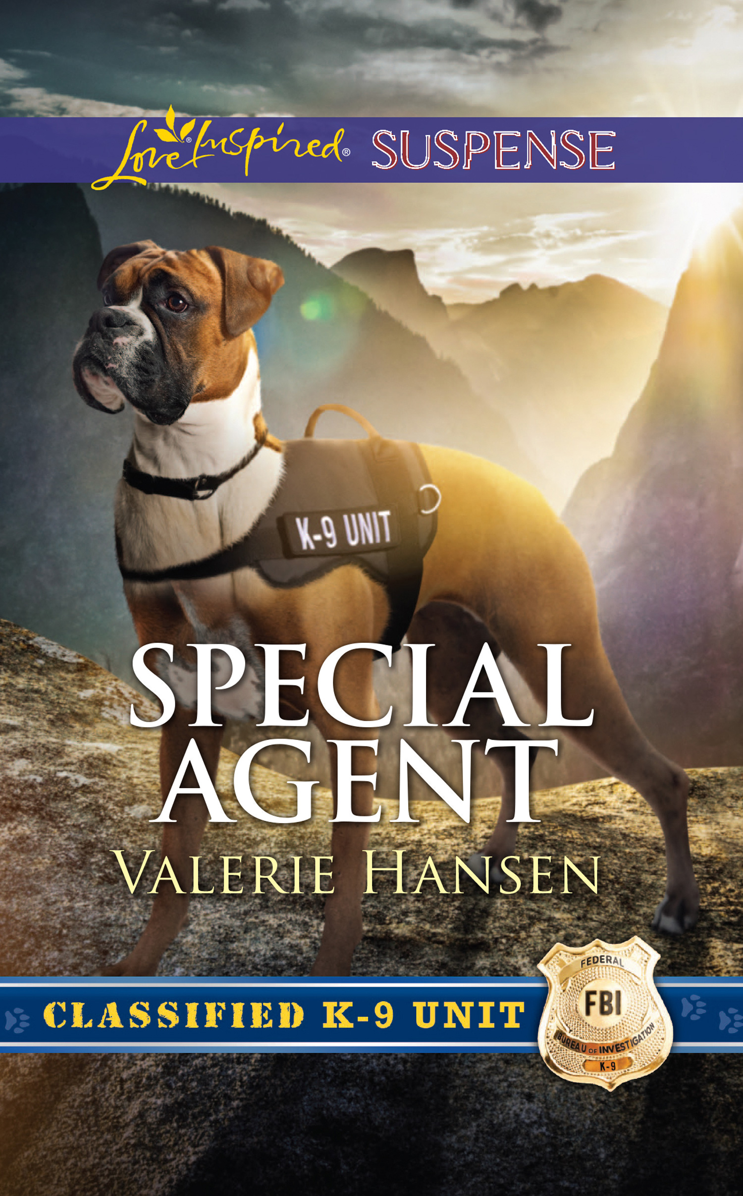 Обложка книги «Special Agent»
