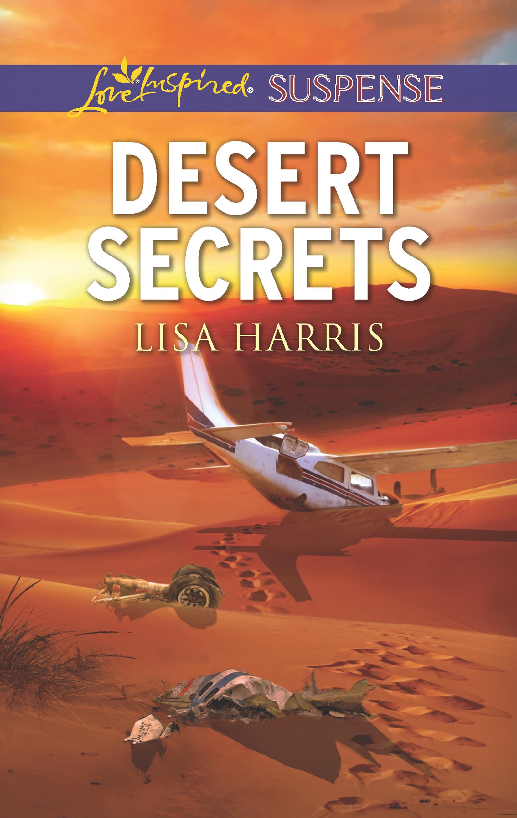 Обложка книги «Desert Secrets»