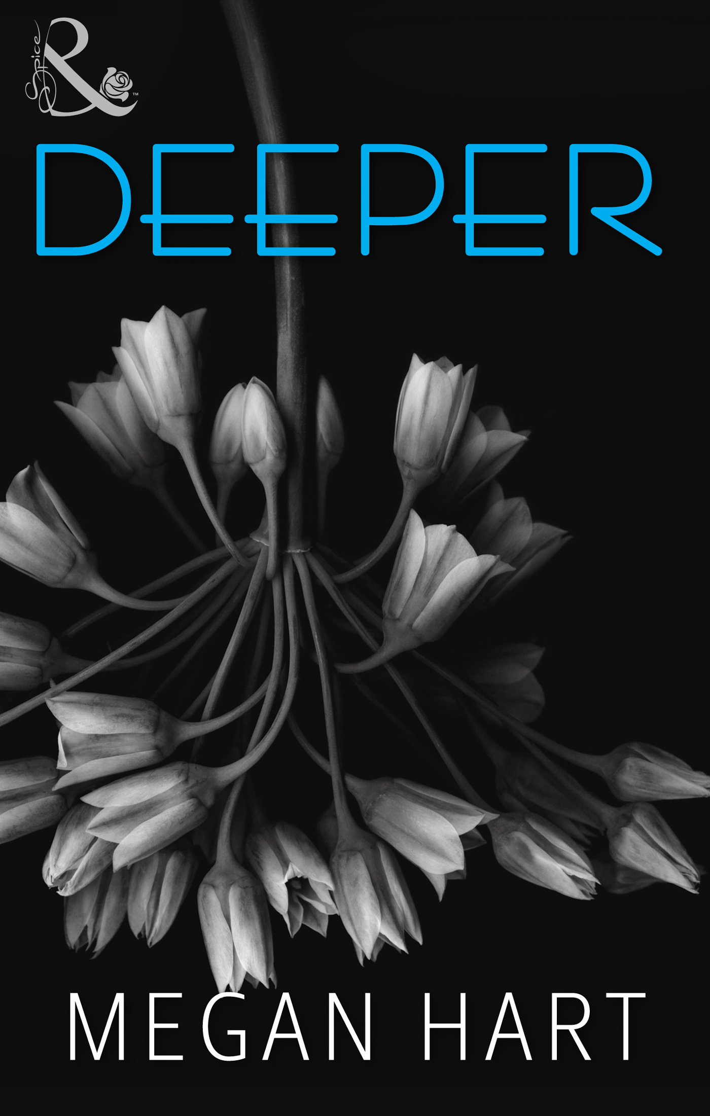 Обложка книги «Deeper»