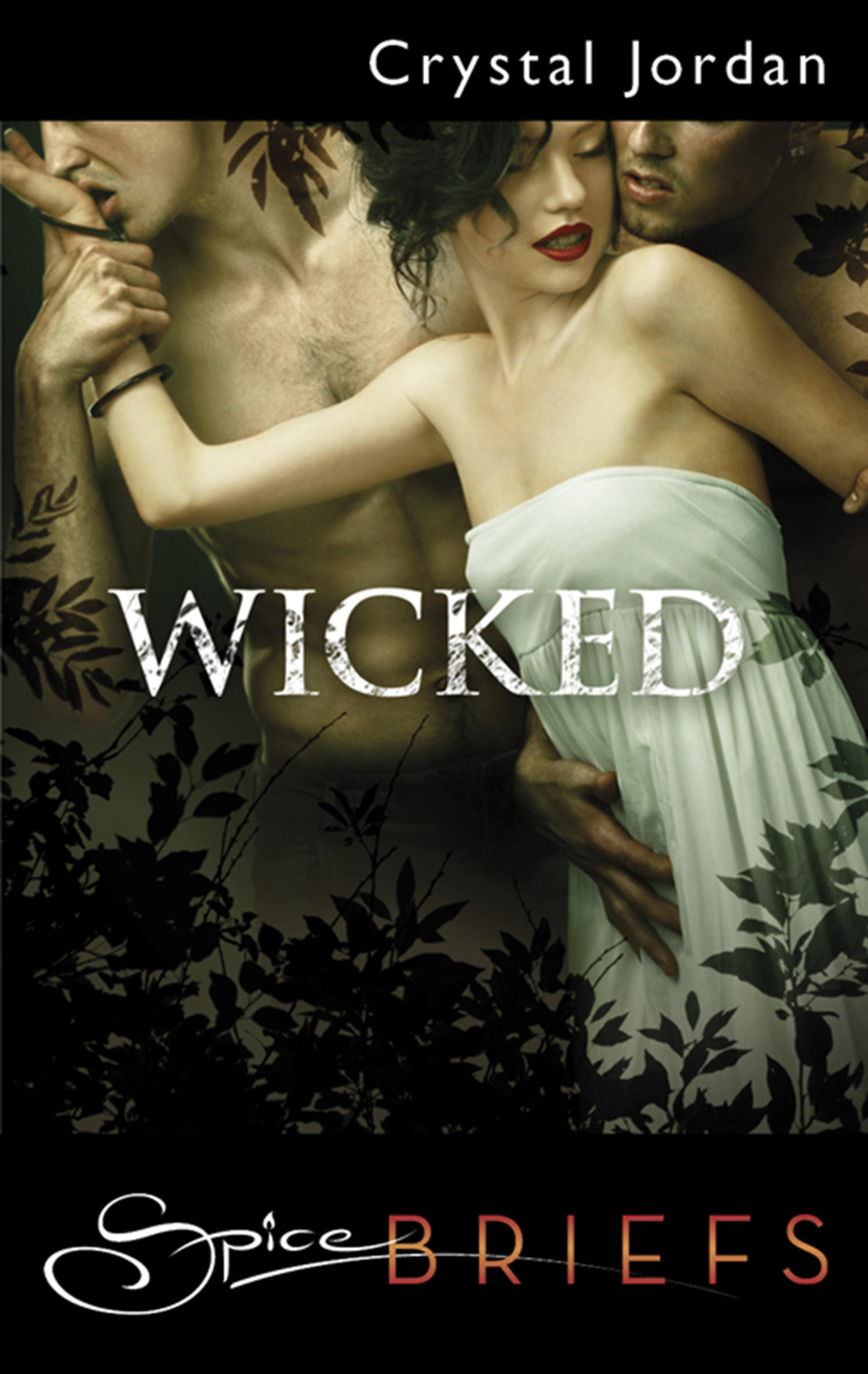 Обложка книги «Wicked»