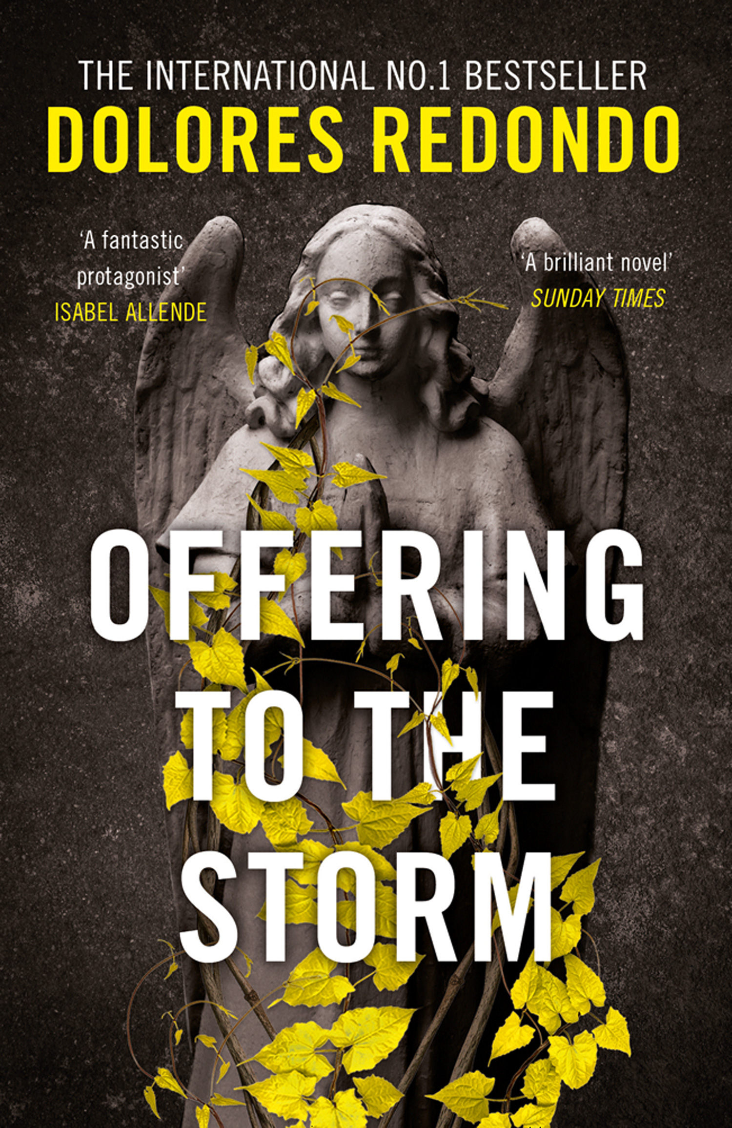 Обложка книги «Offering to the Storm»