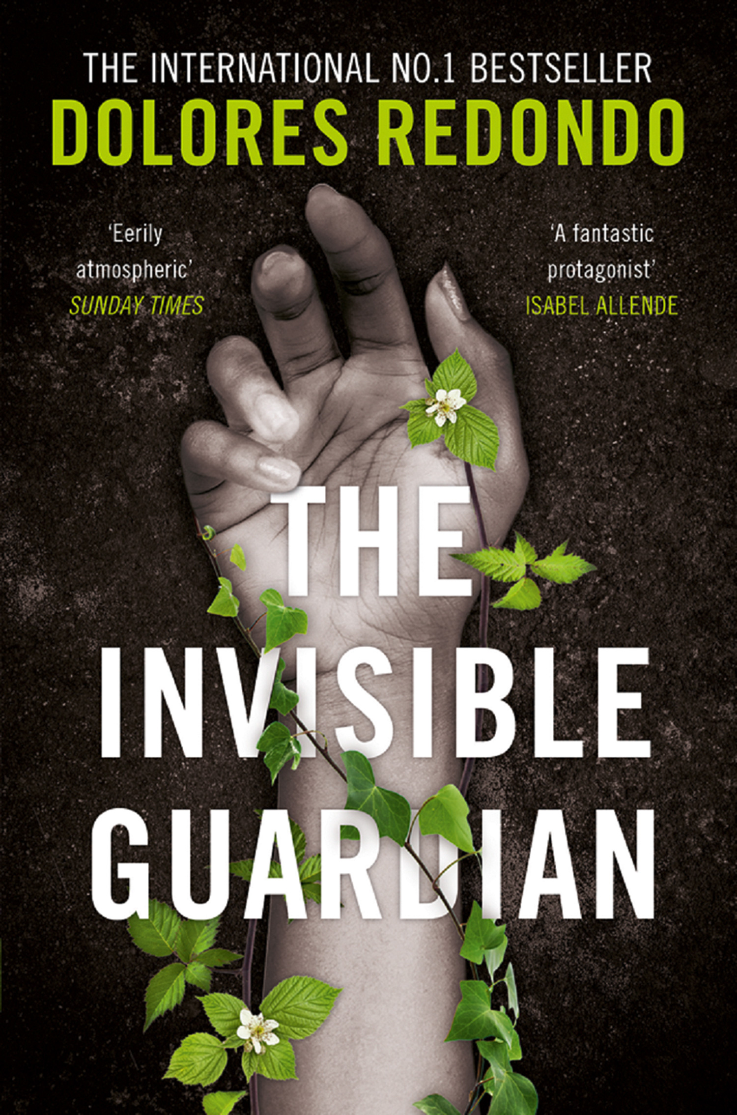 Обложка книги «The Invisible Guardian»
