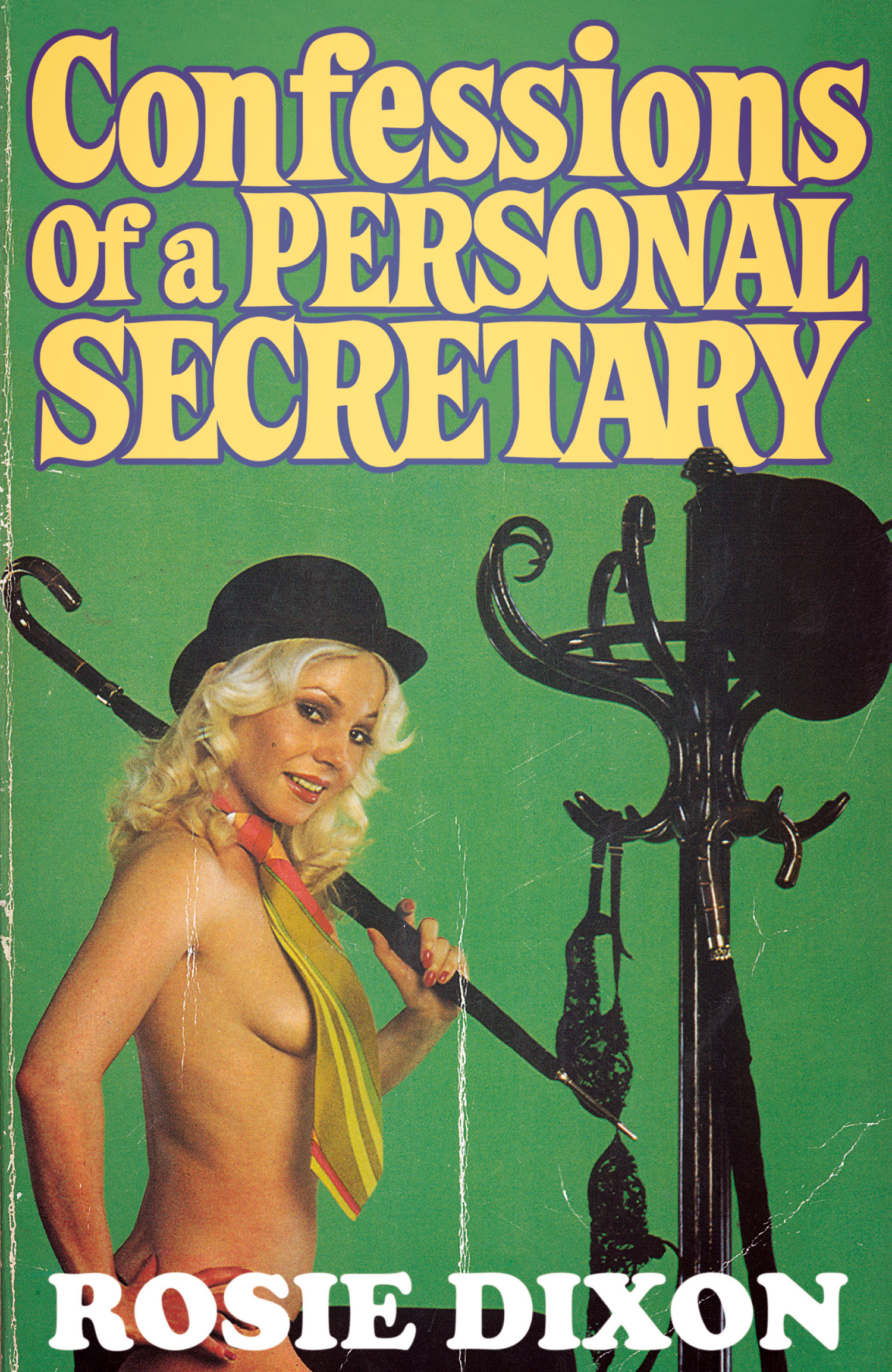 Обложка книги «Confessions of a Personal Secretary»