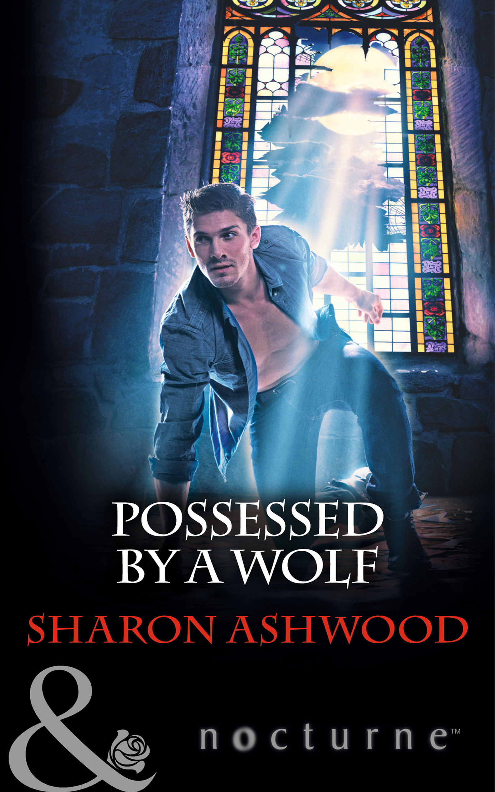 Обложка книги «Possessed by a Wolf»