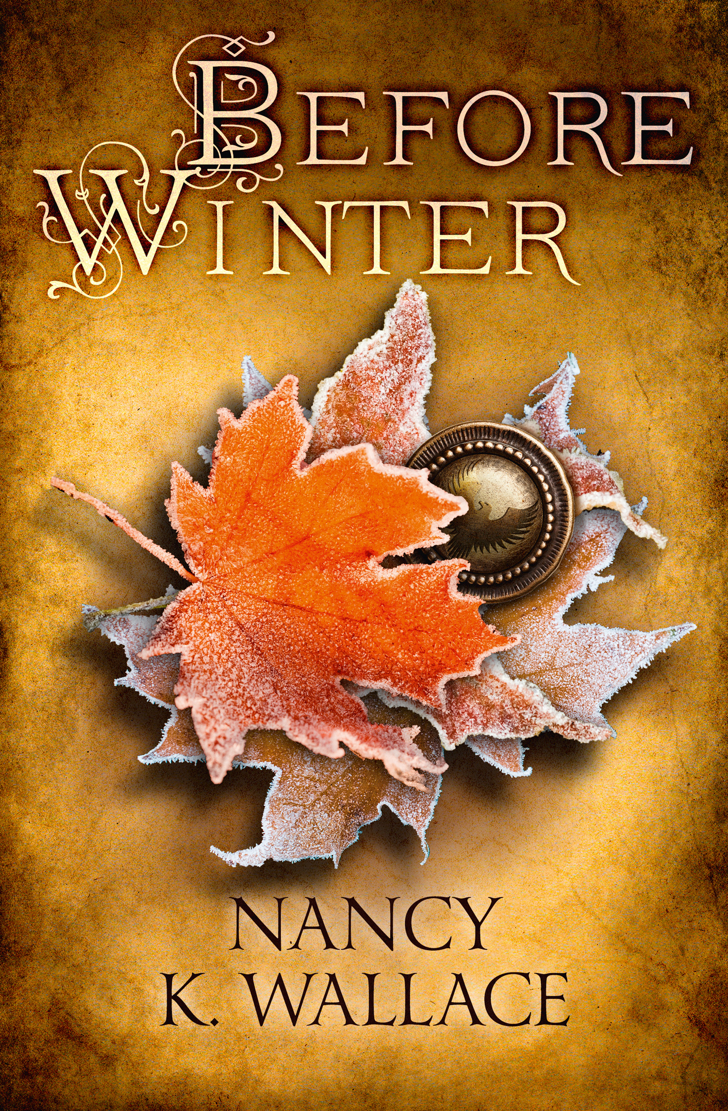 Обложка книги «Before Winter»
