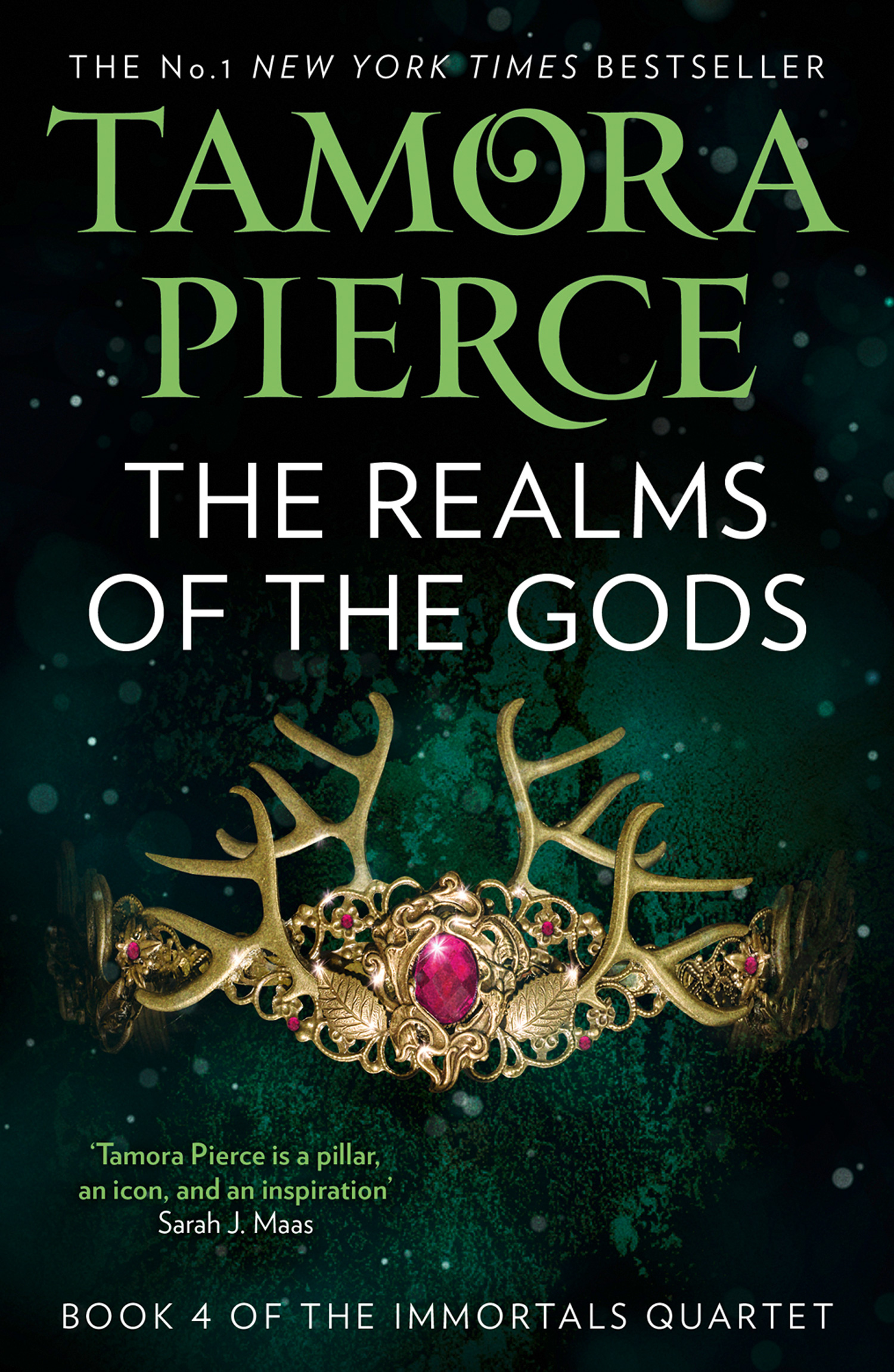 Обложка книги «The Realms of the Gods»