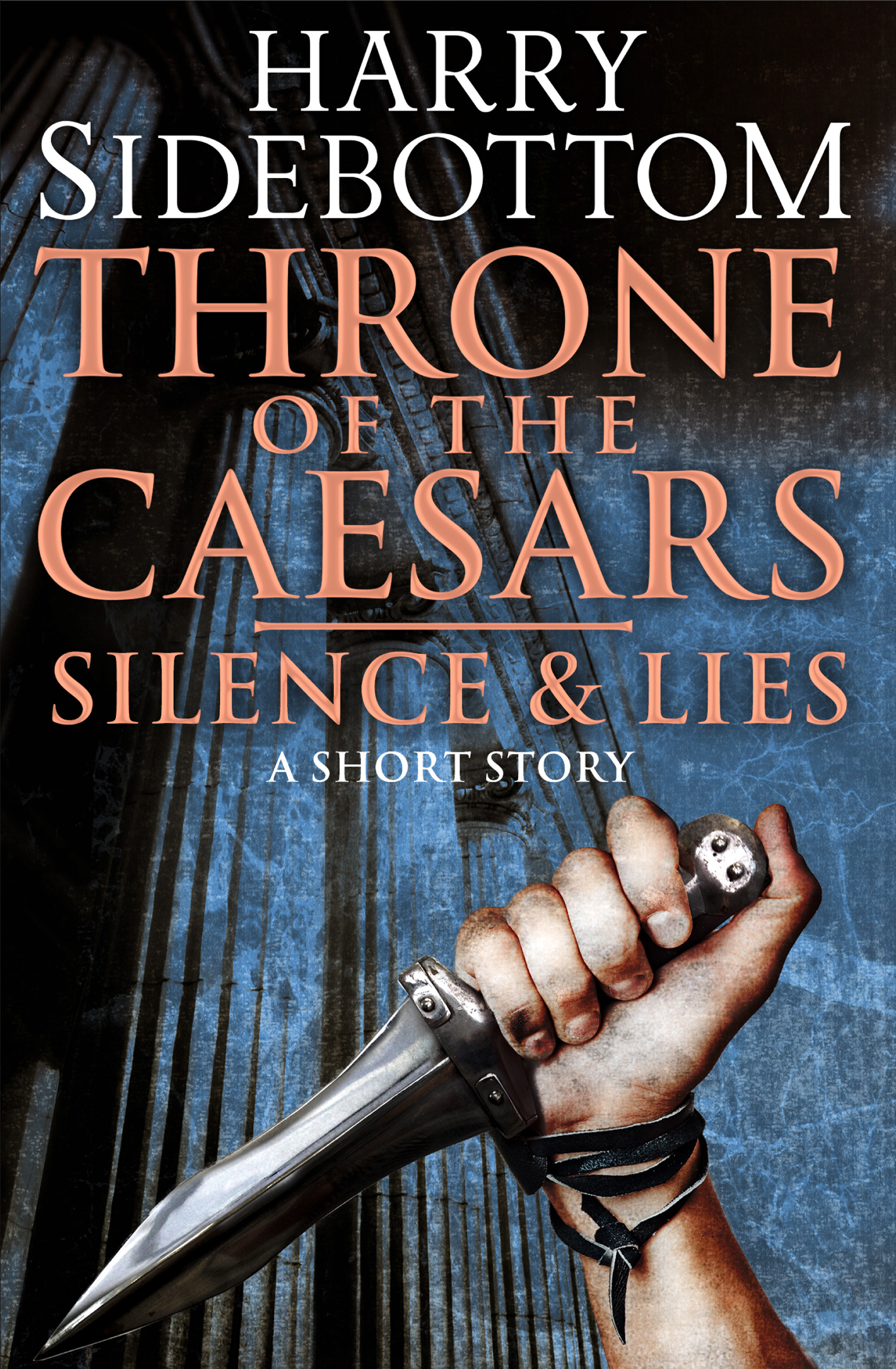 Обложка книги «Silence & Lies»