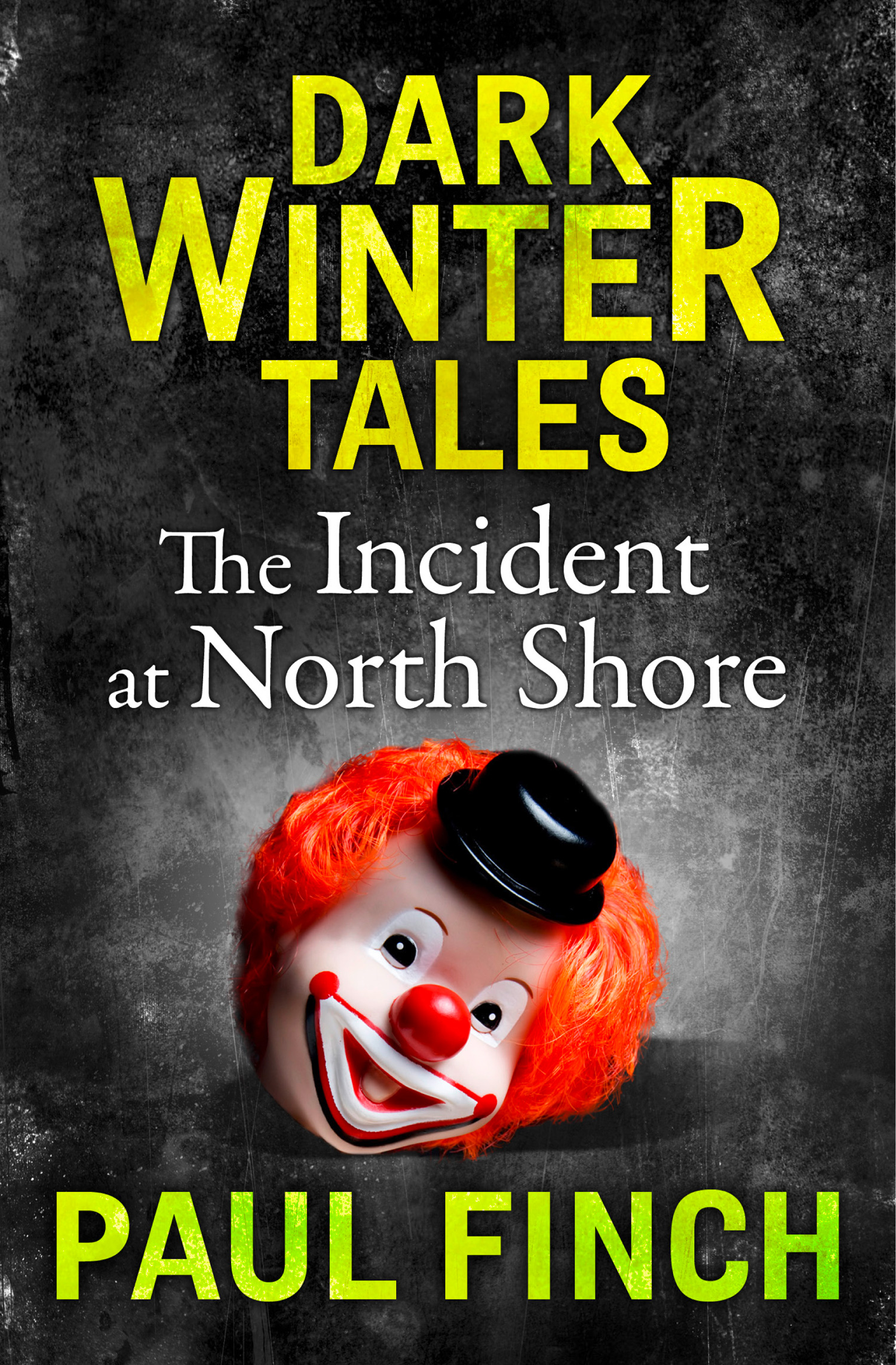 Обложка книги «The Incident at North Shore»
