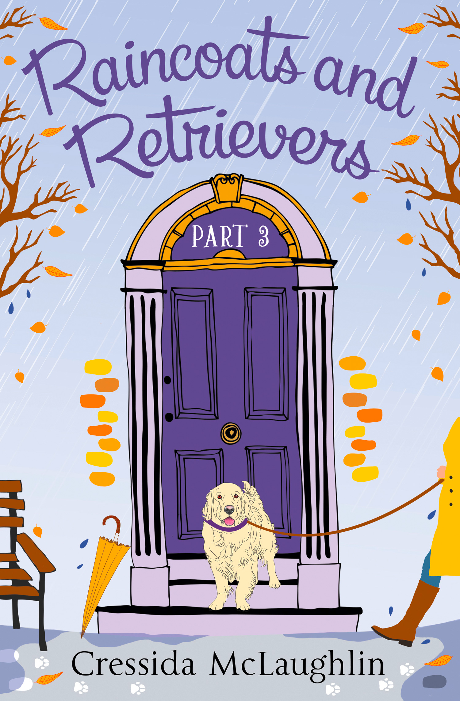 Обложка книги «Raincoats and Retrievers»