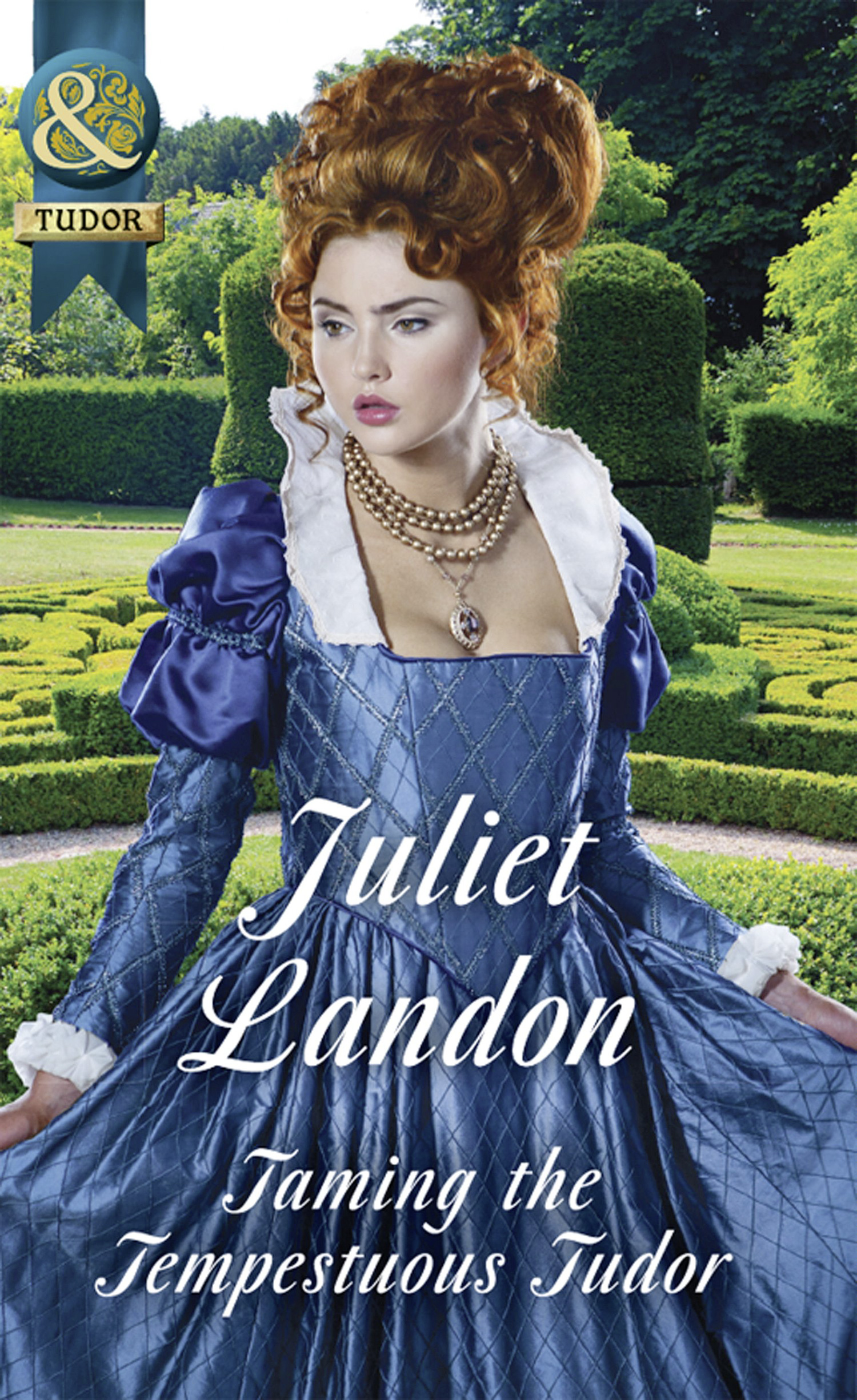 Обложка книги «Taming The Tempestuous Tudor»