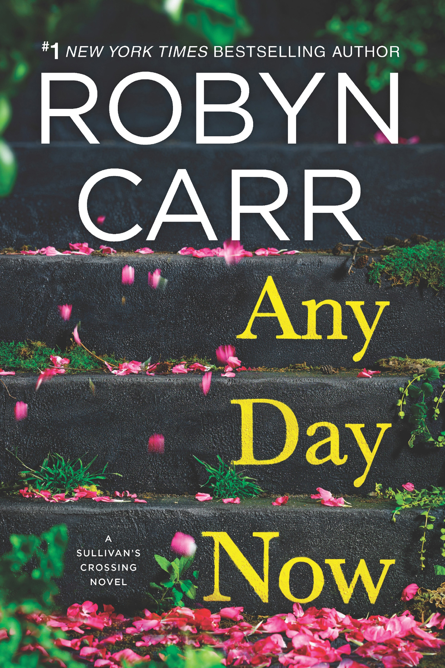 Обложка книги «Any Day Now»