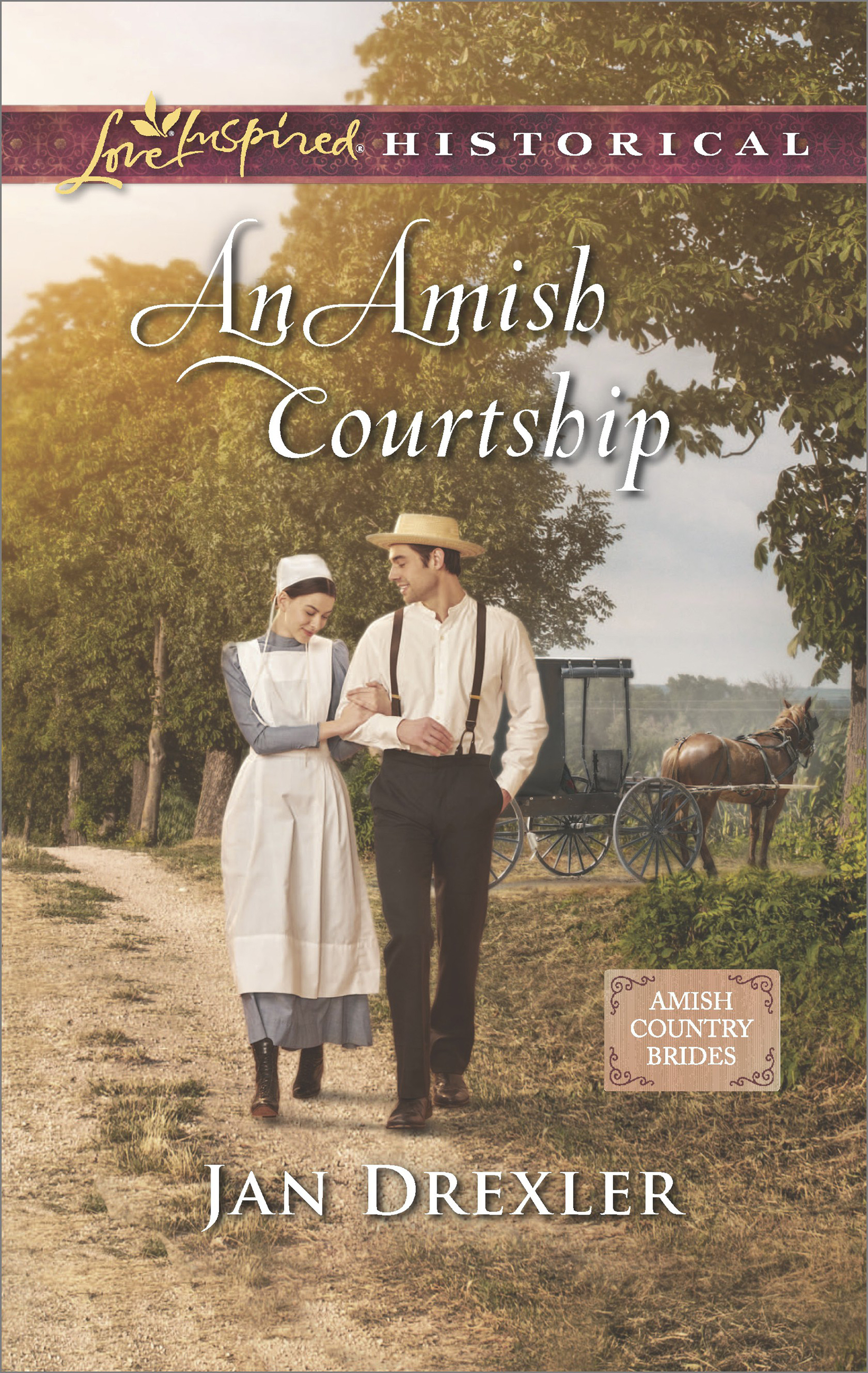 Обложка книги «An Amish Courtship»