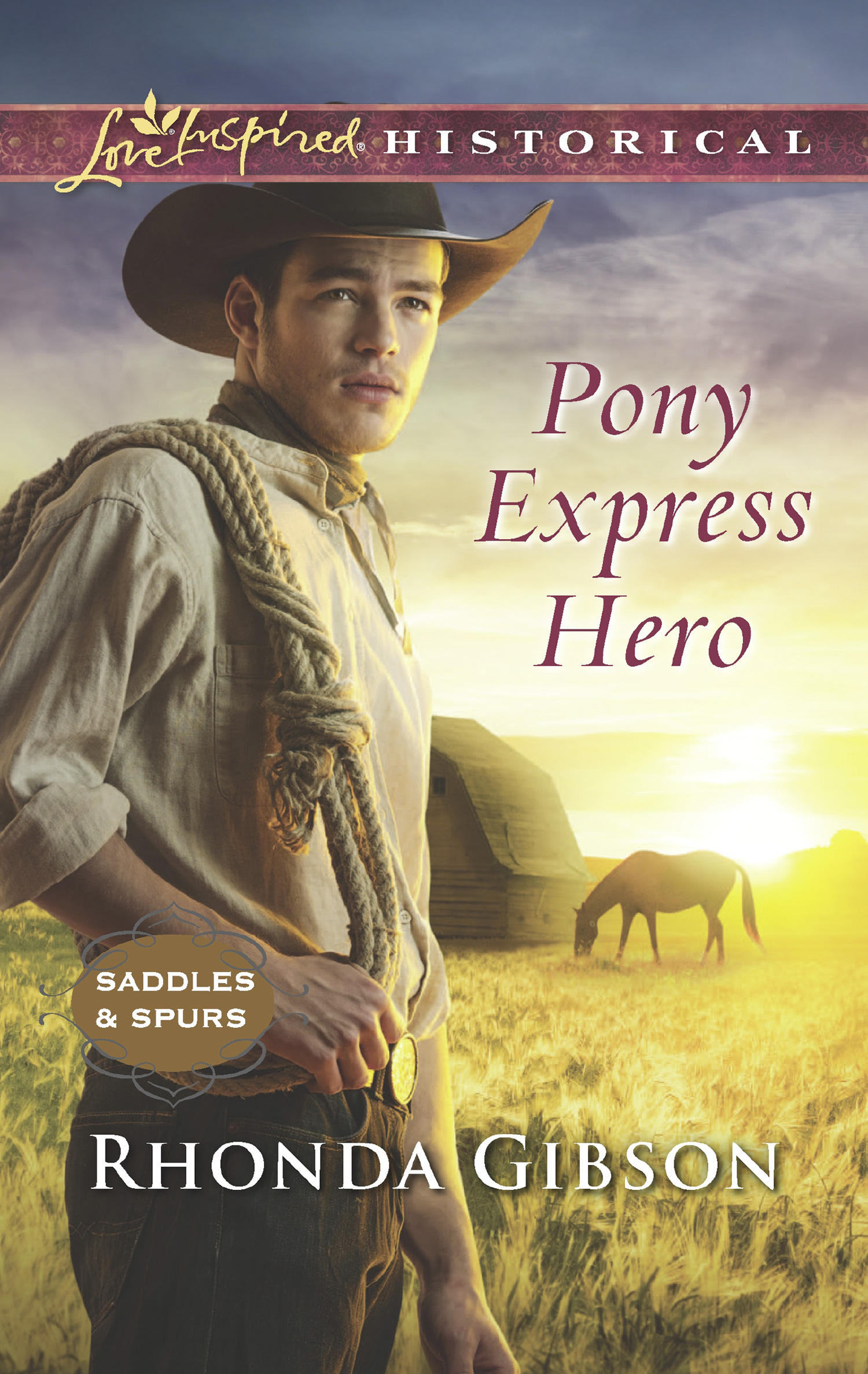 Обложка книги «Pony Express Hero»