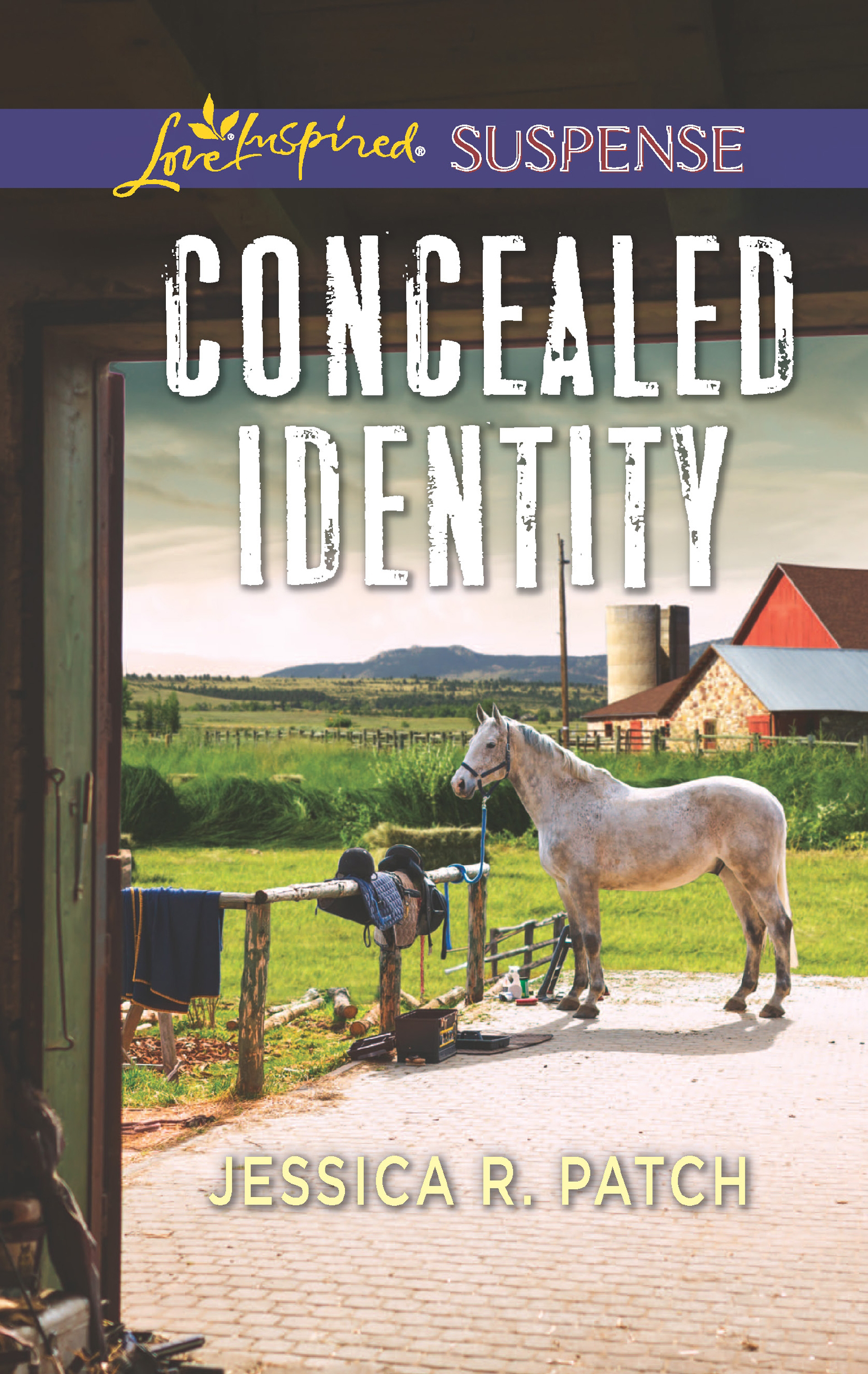 Обложка книги «Concealed Identity»