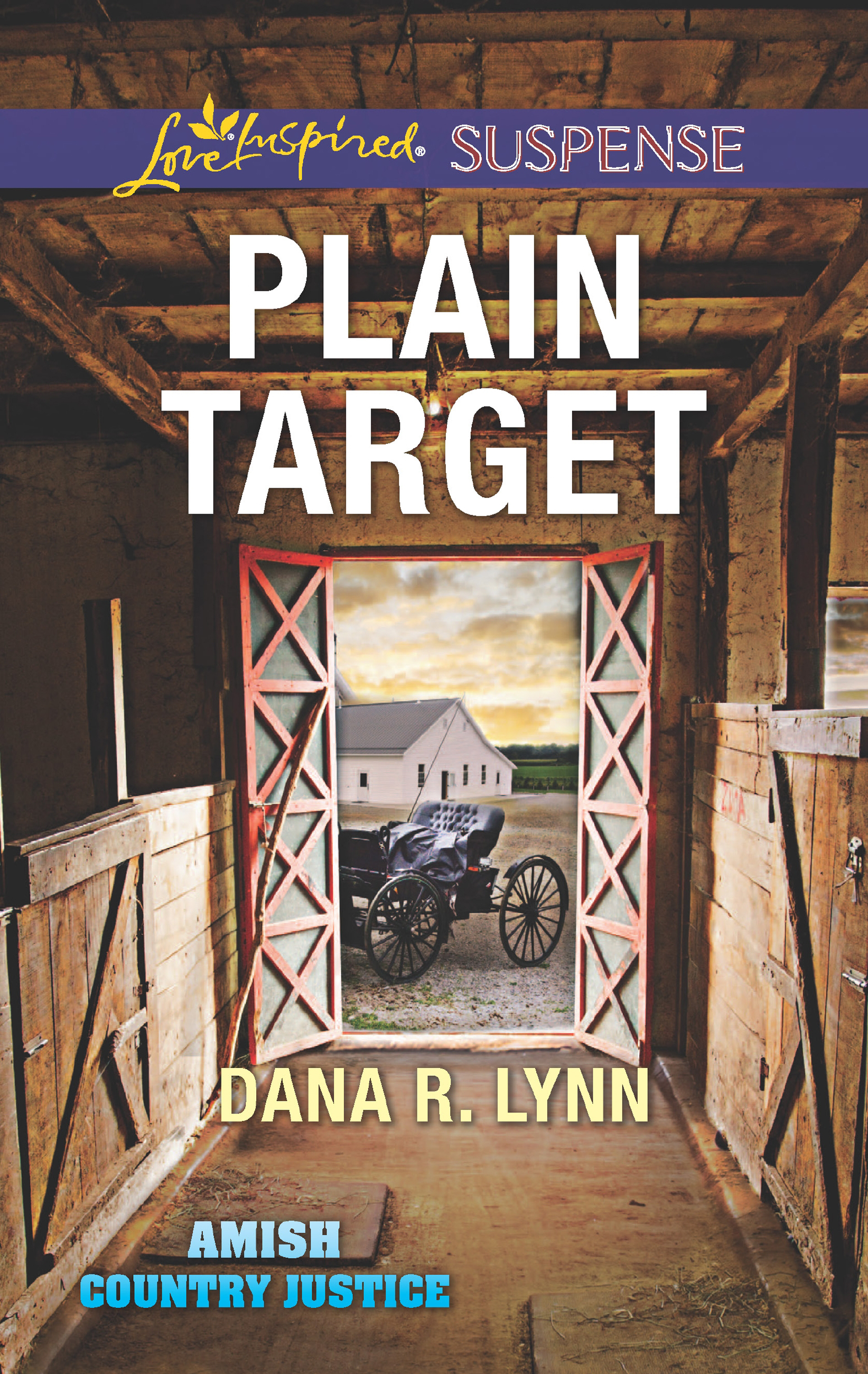 Обложка книги «Plain Target»
