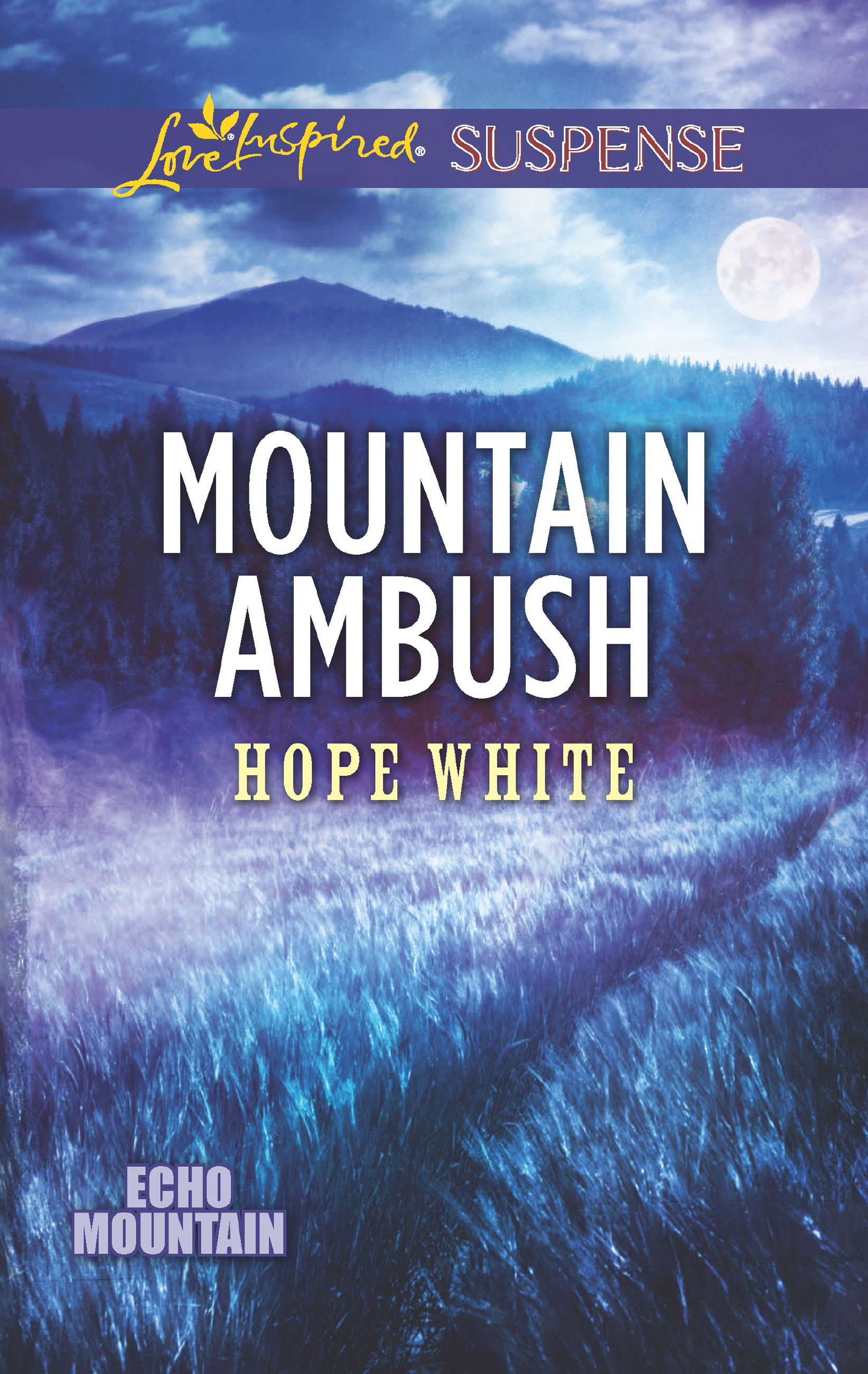 Обложка книги «Mountain Ambush»