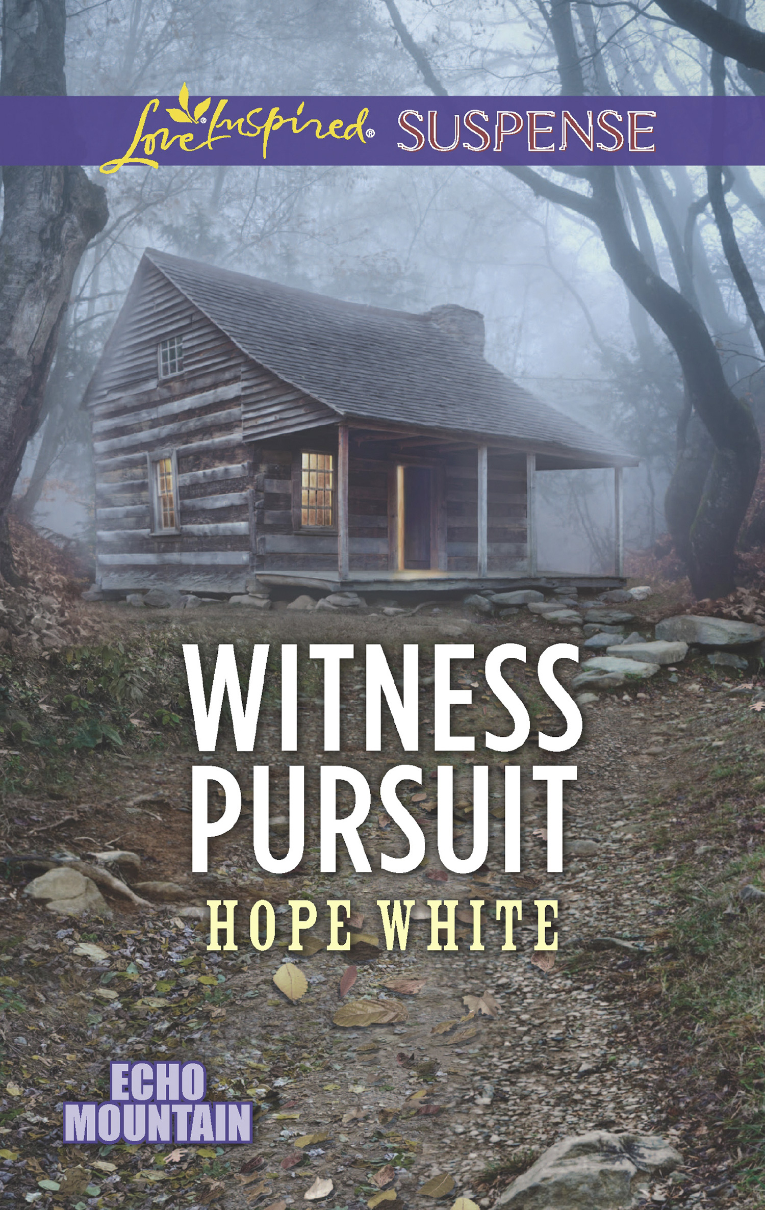 Обложка книги «Witness Pursuit»