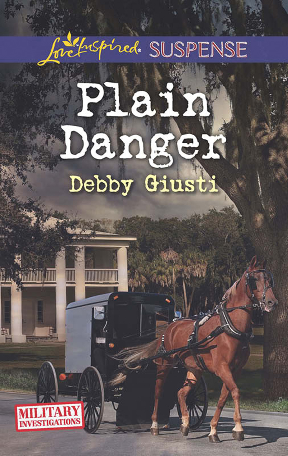 Обложка книги «Plain Danger»