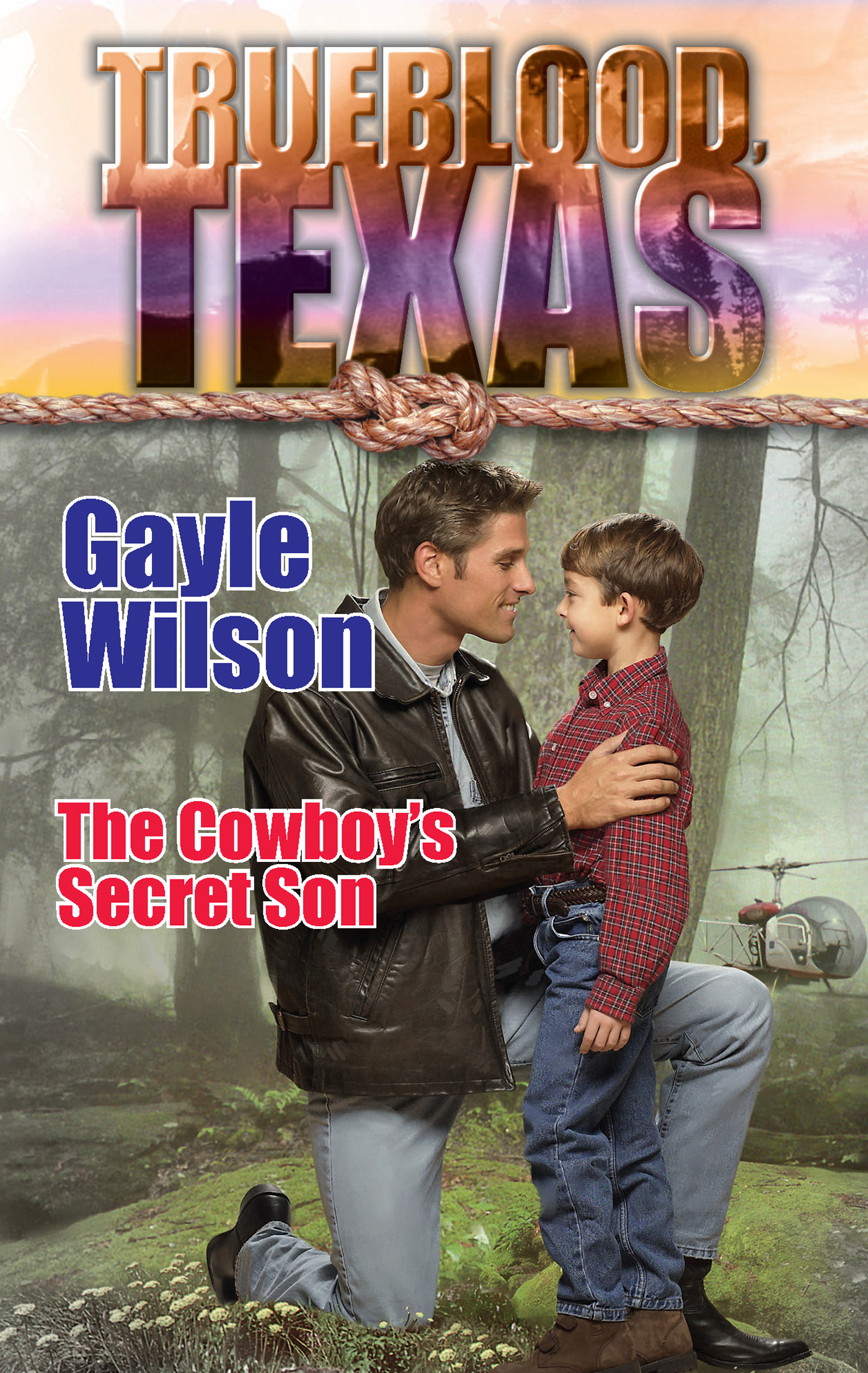 Обложка книги «The Cowboy's Secret Son»