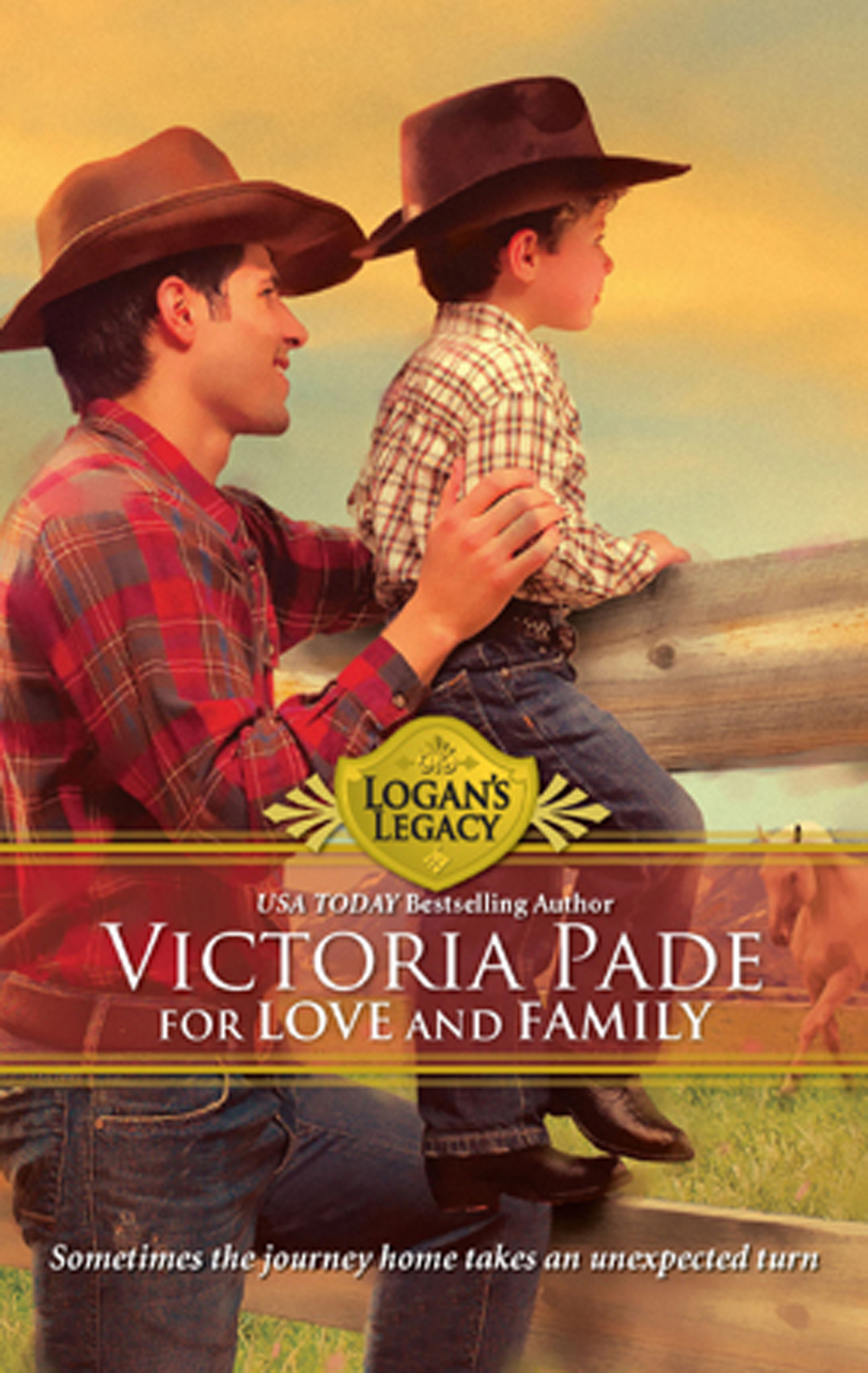Обложка книги «For Love and Family»