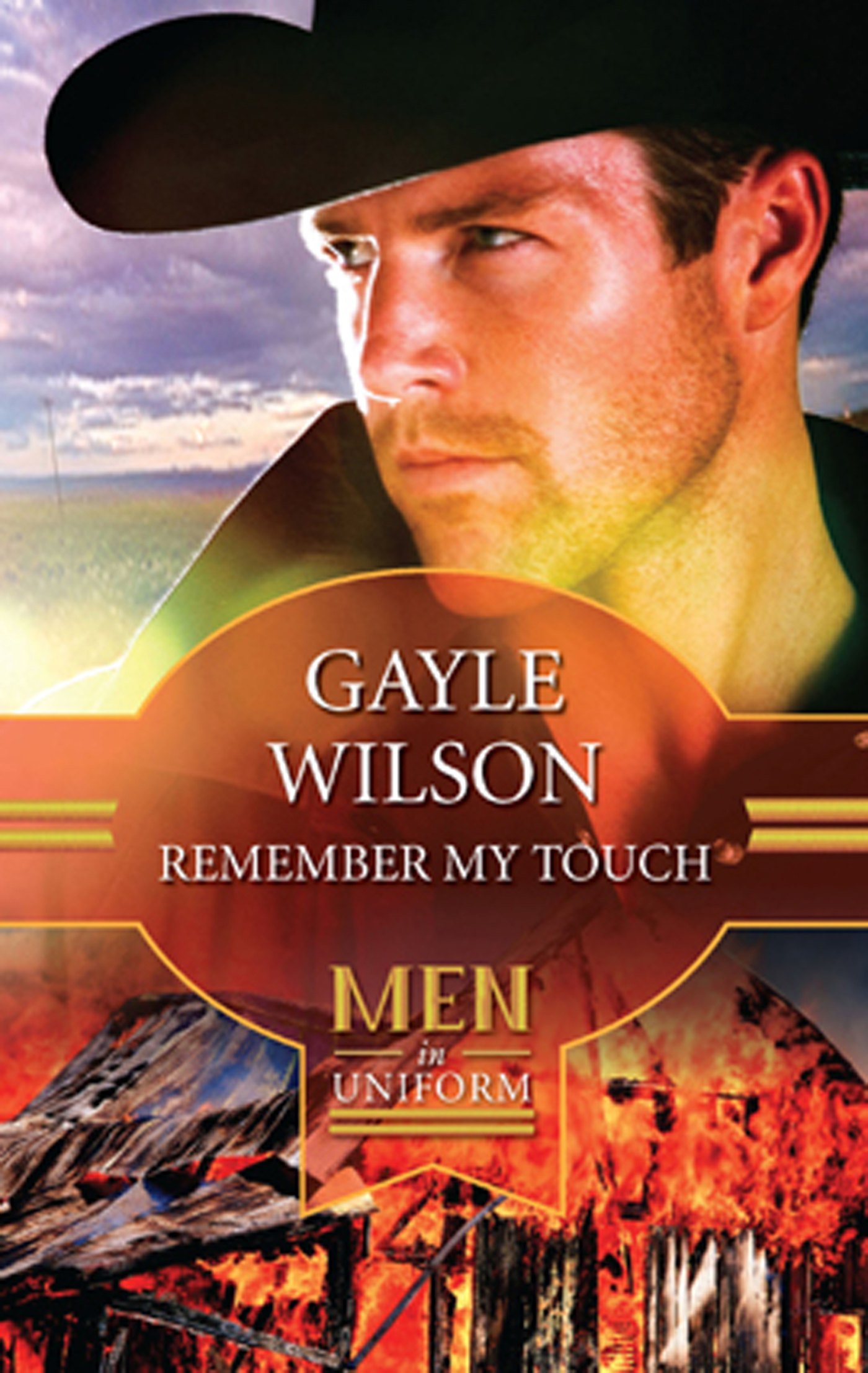 Обложка книги «Remember My Touch»