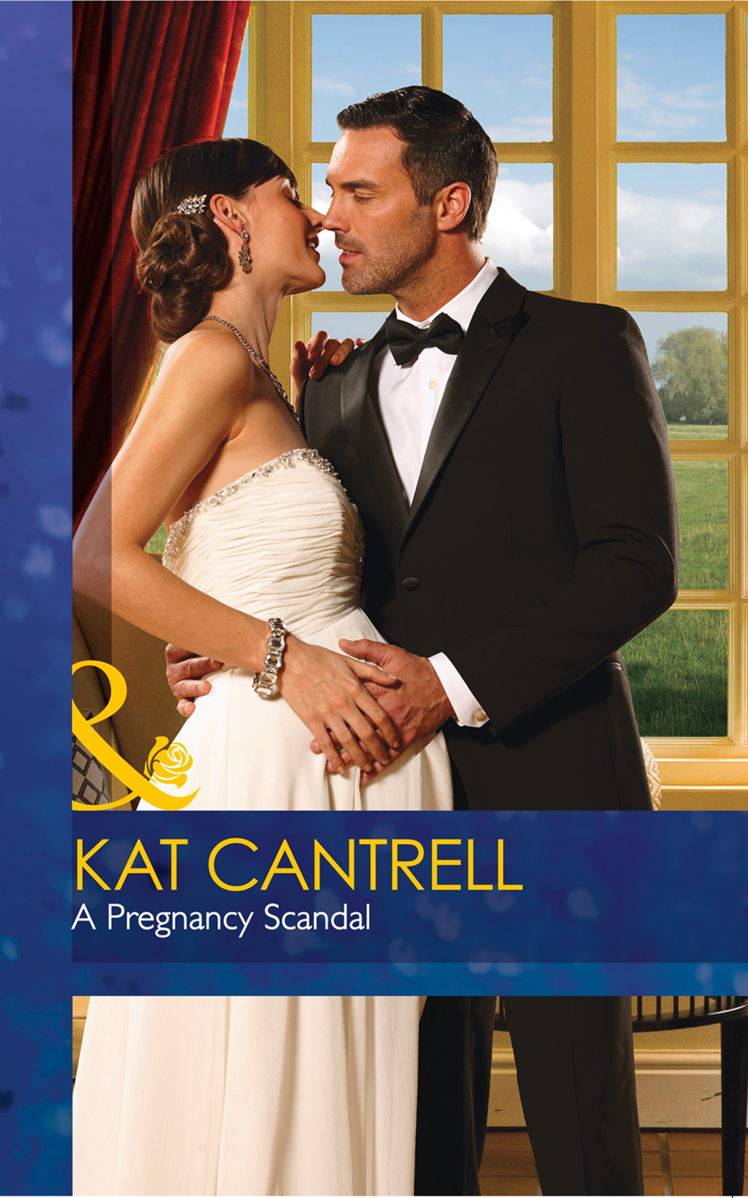 Обложка книги «A Pregnancy Scandal»
