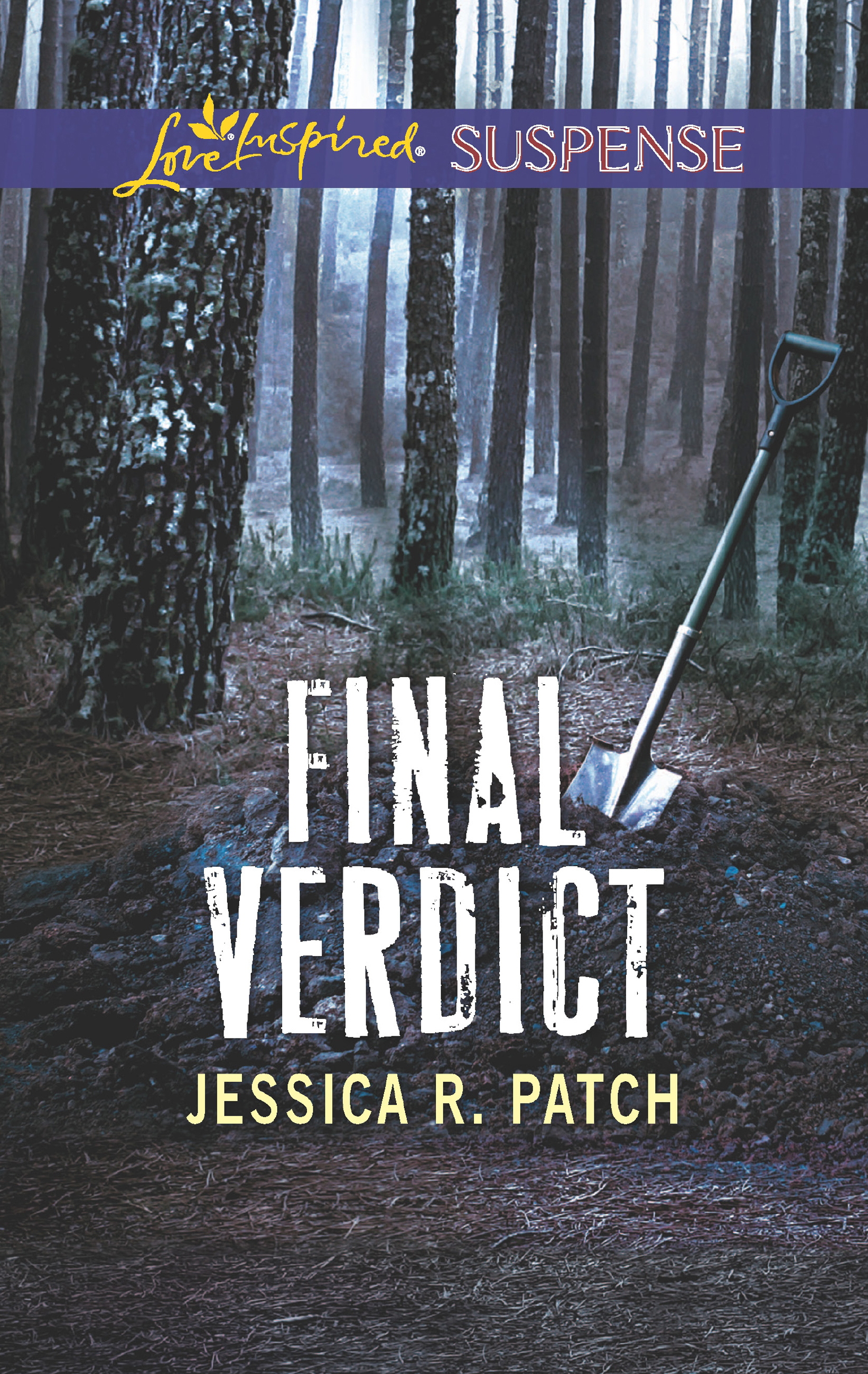Обложка книги «Final Verdict»