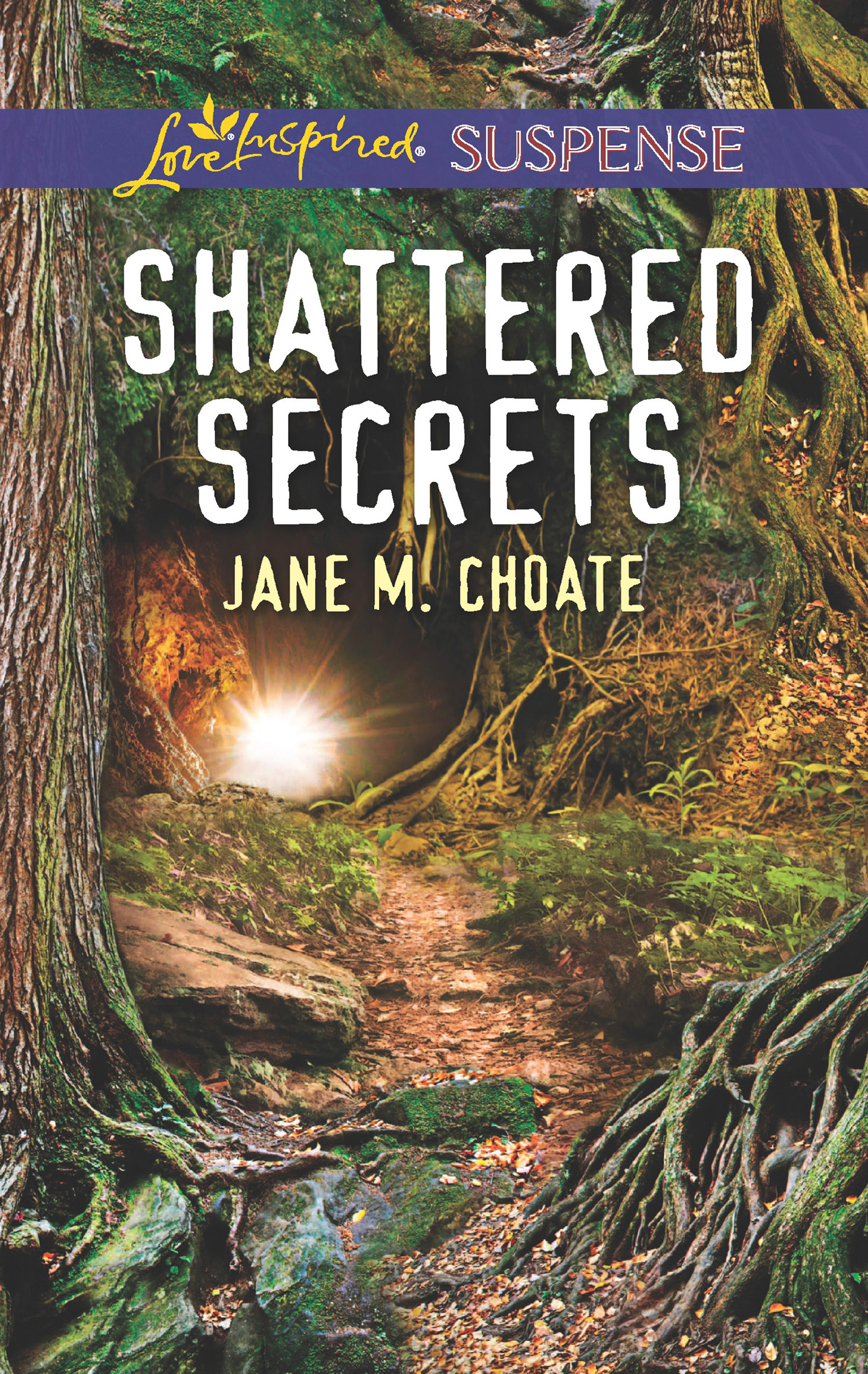 Обложка книги «Shattered Secrets»