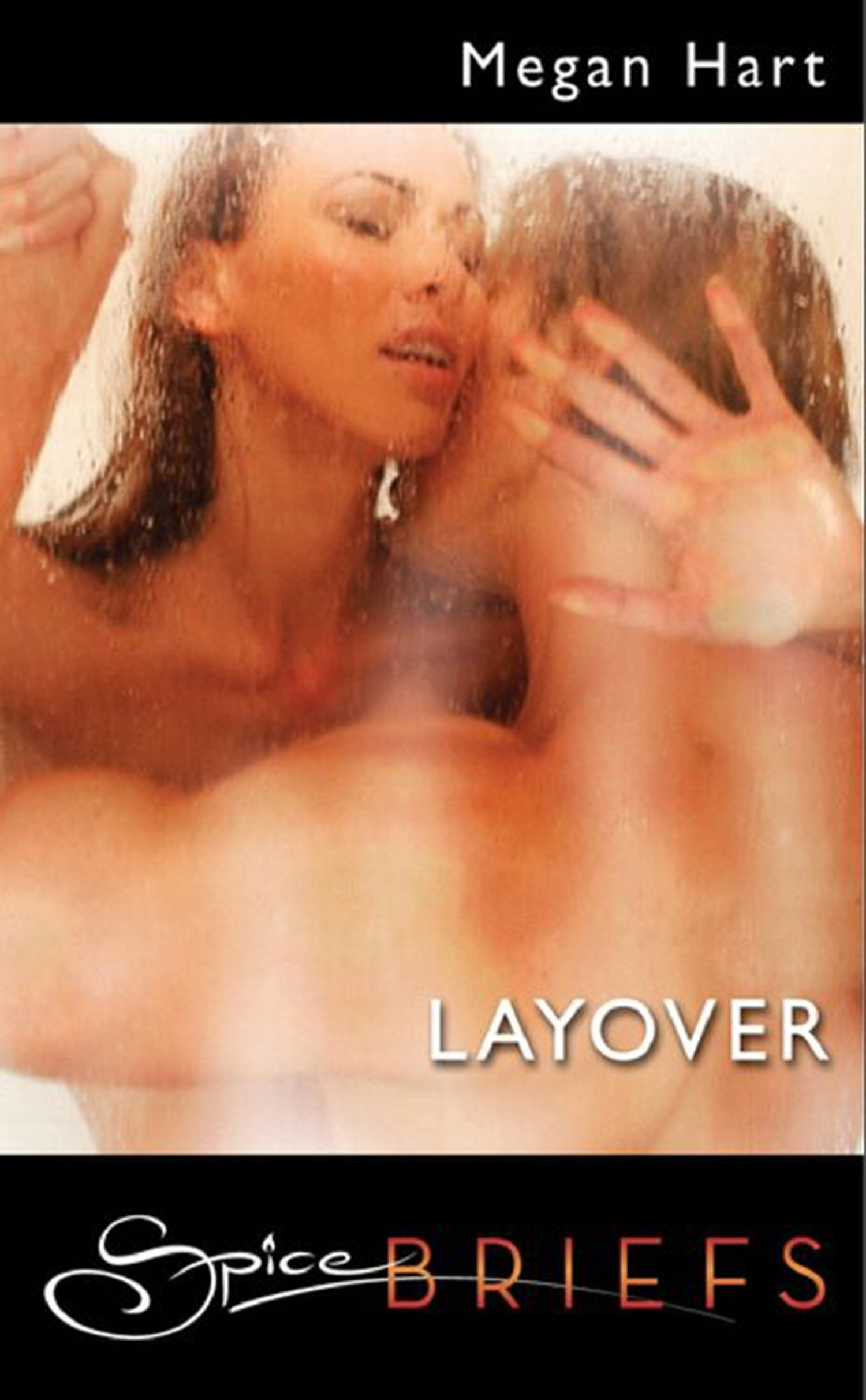 Обложка книги «Layover»