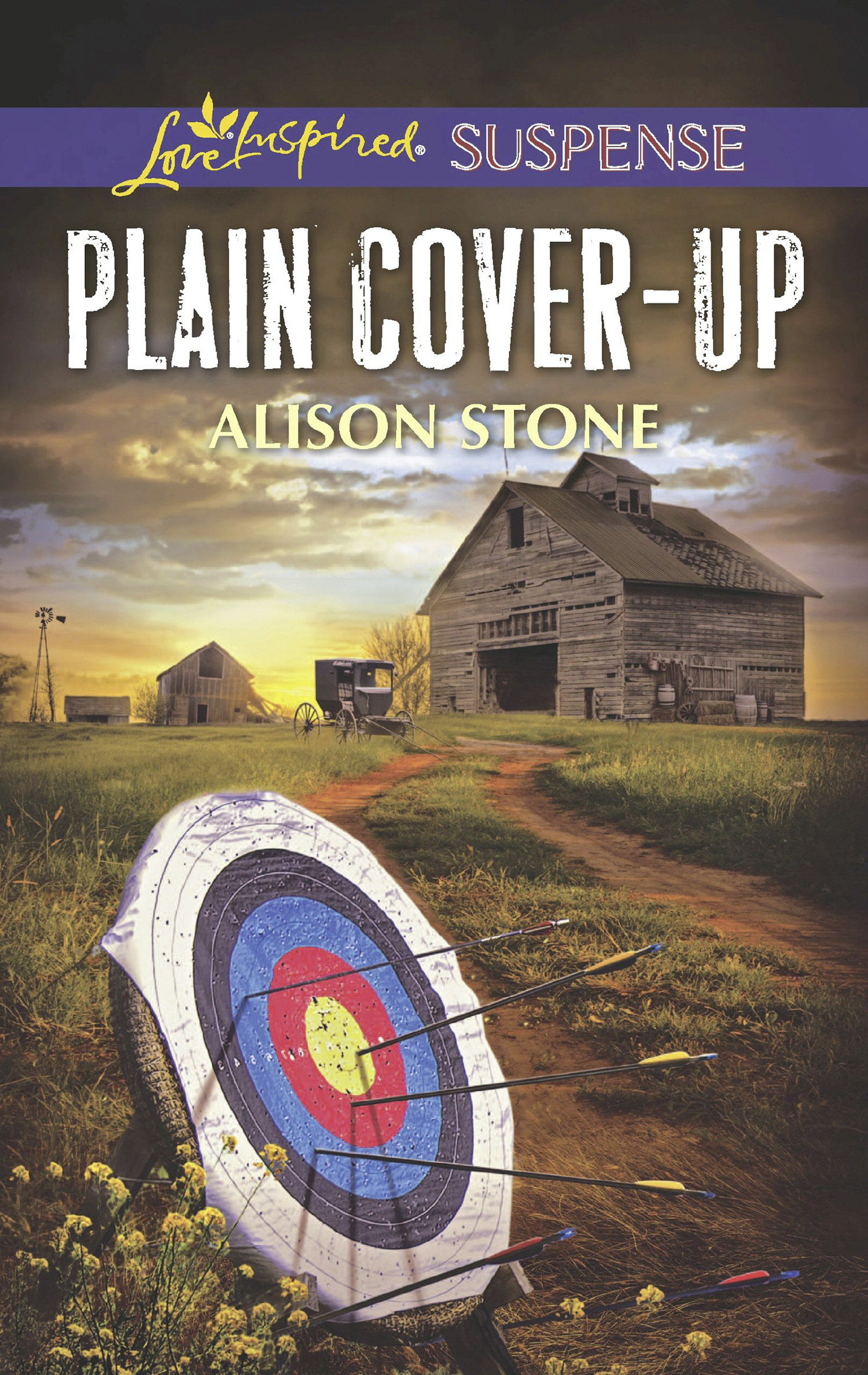 Обложка книги «Plain Cover-Up»