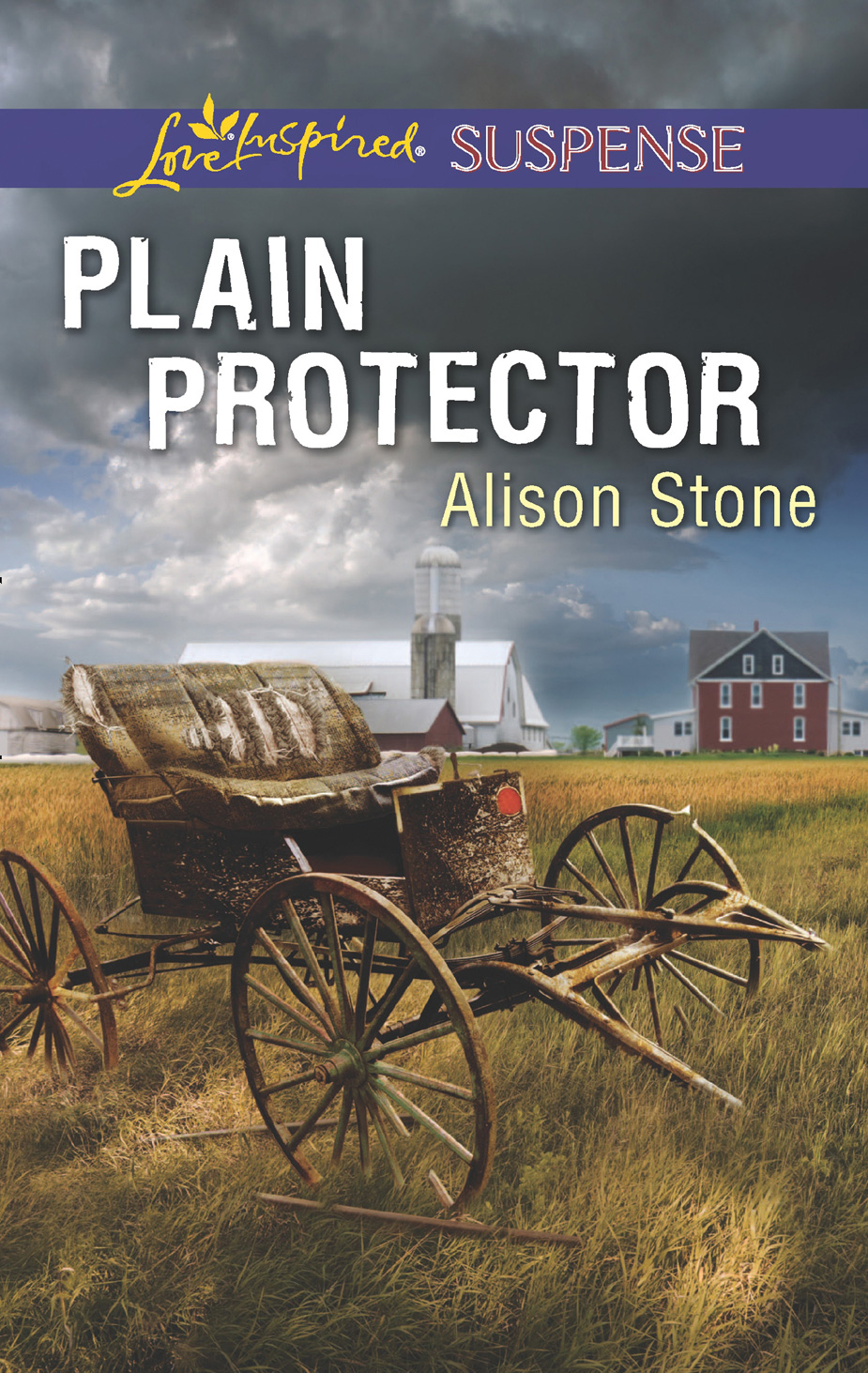 Обложка книги «Plain Protector»