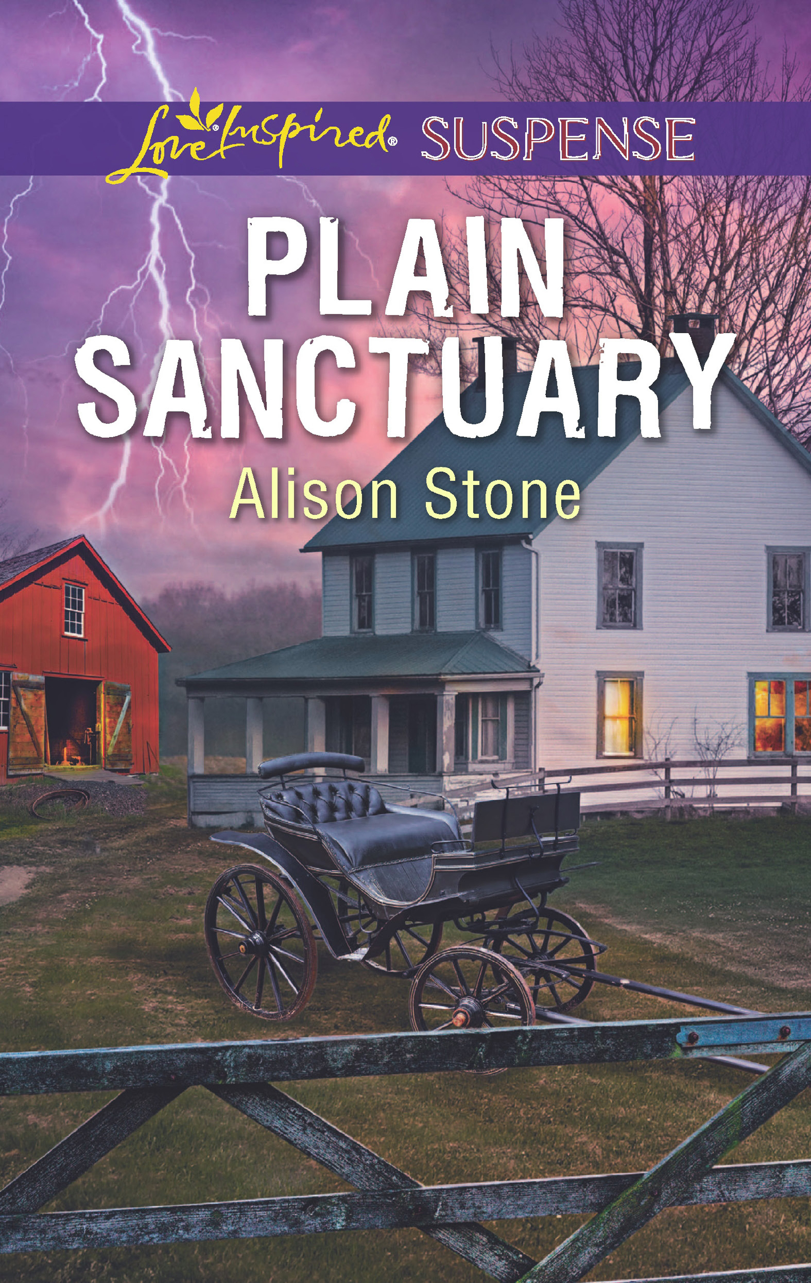 Обложка книги «Plain Sanctuary»