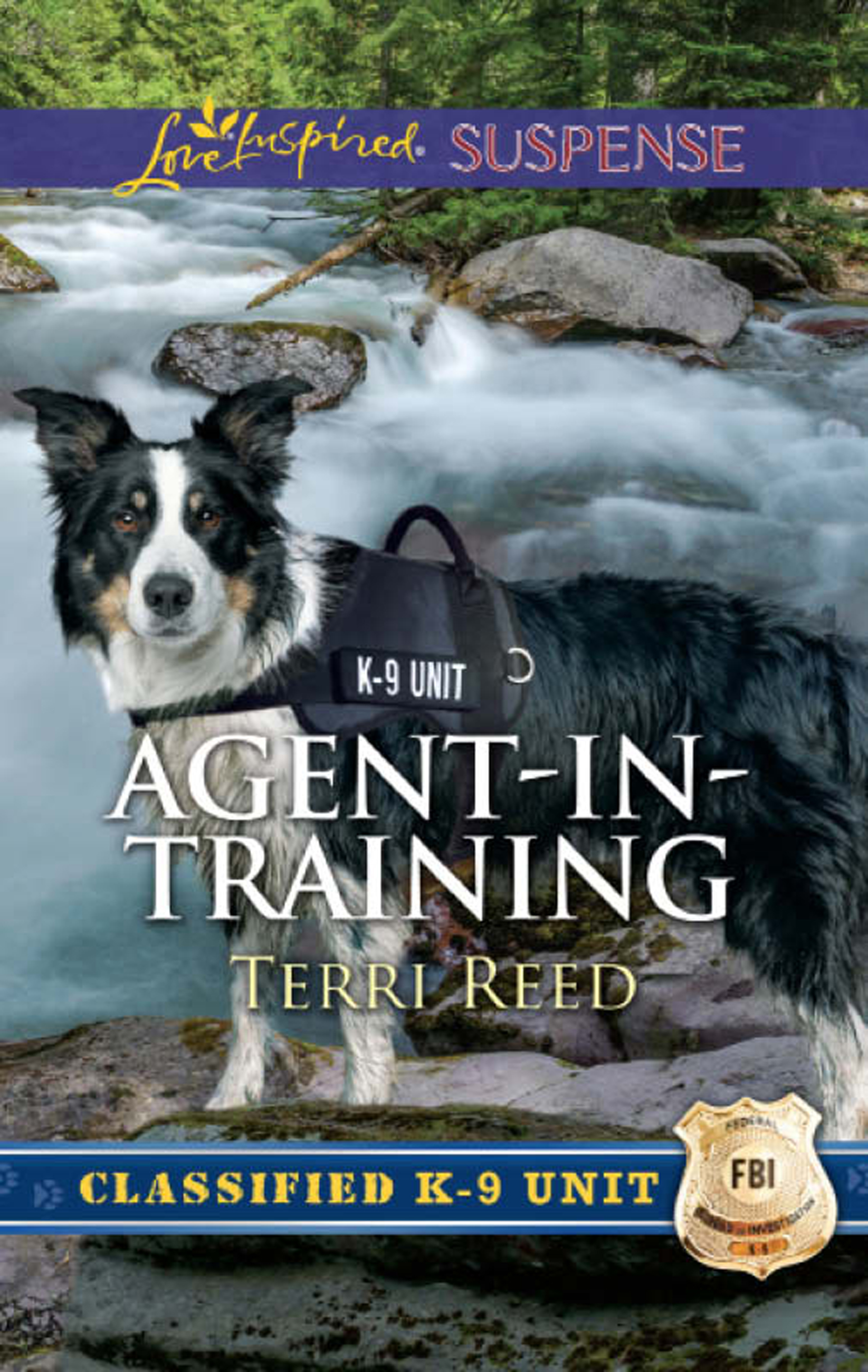 Обложка книги «Agent-In-Training»