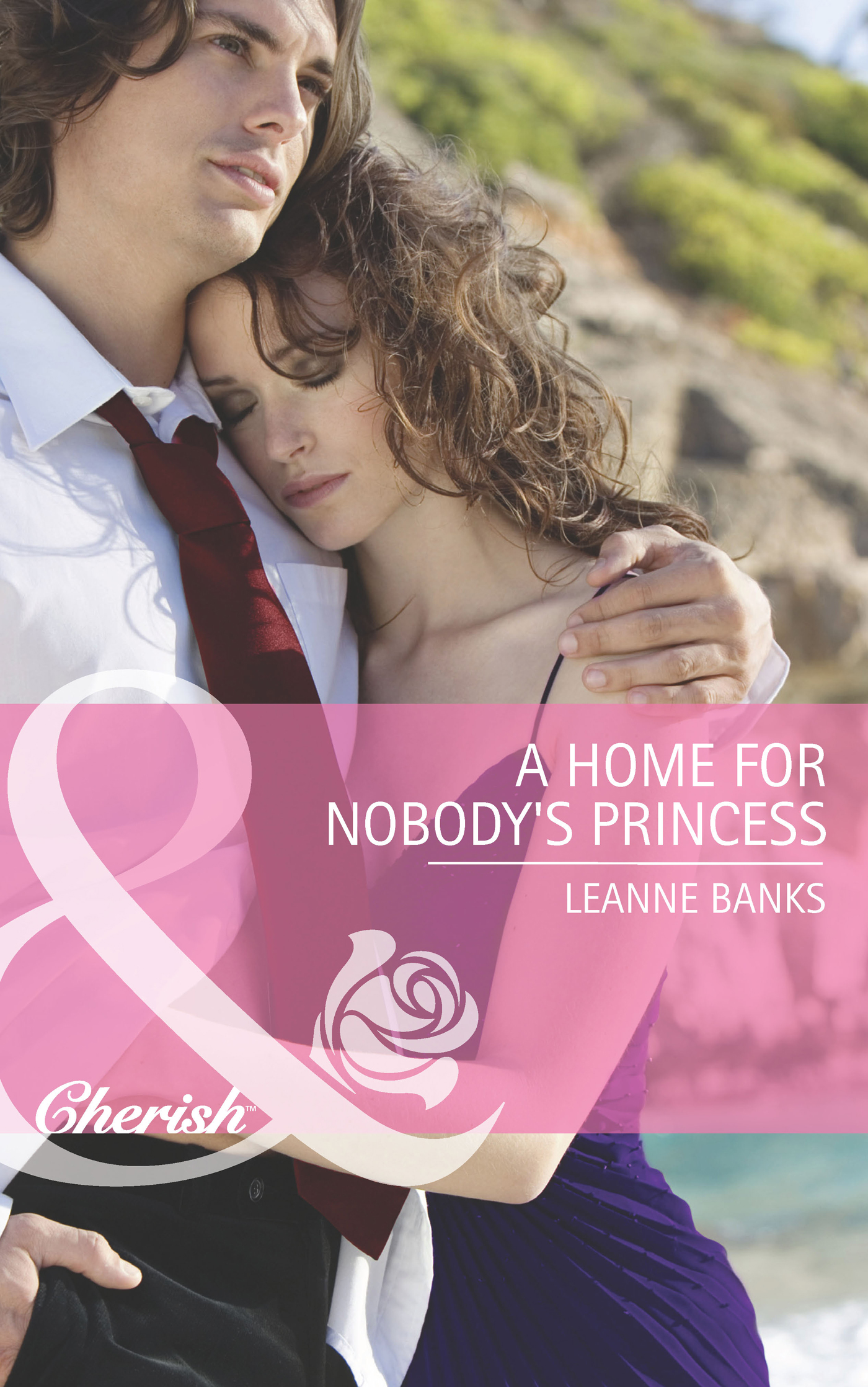 Обложка книги «A Home for Nobody's Princess»
