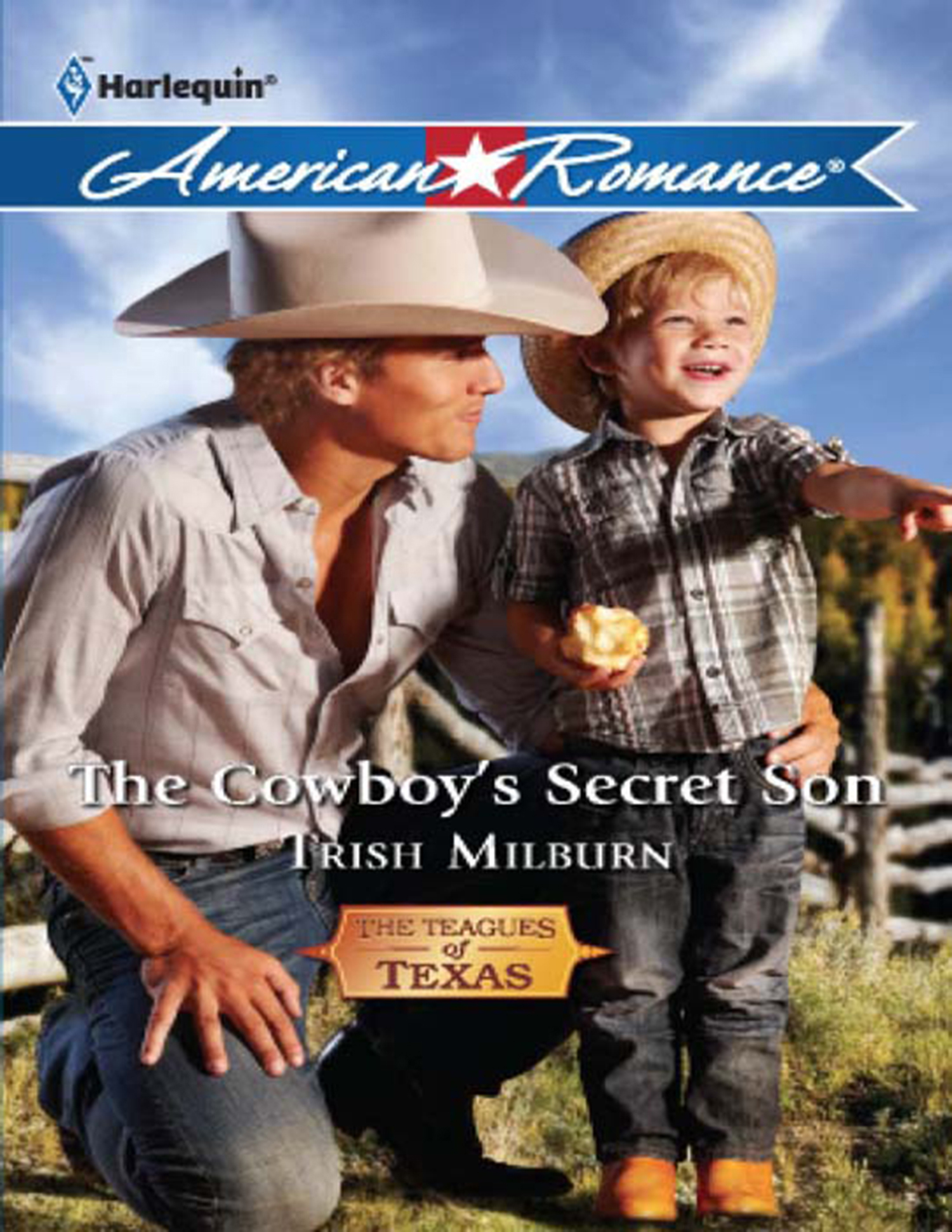 Обложка книги «The Cowboy's Secret Son»