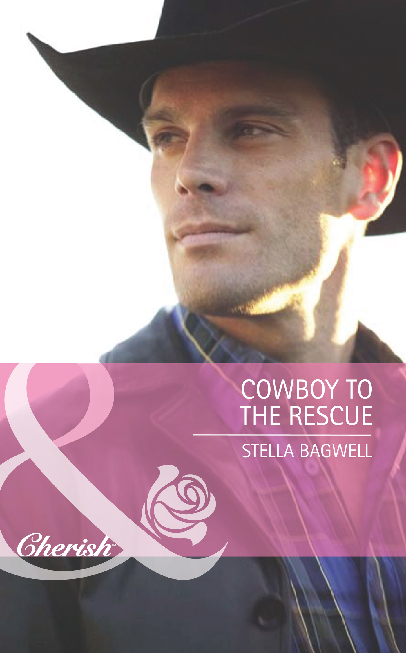 Обложка книги «Cowboy to the Rescue»
