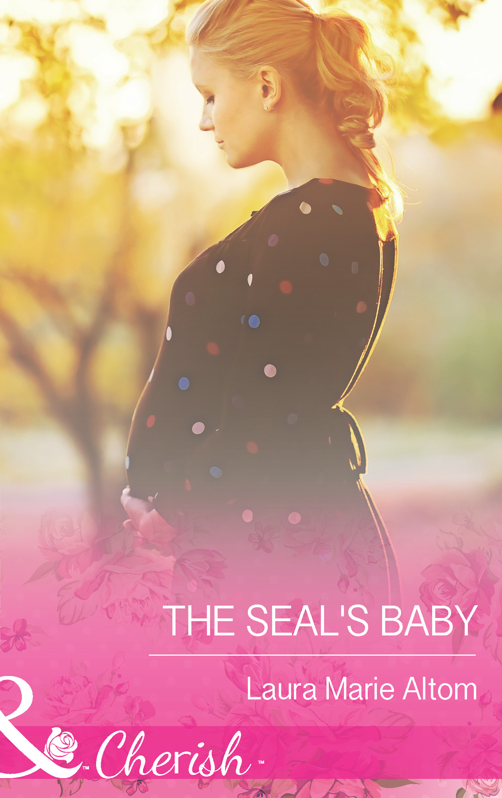 Обложка книги «The SEAL's Baby»