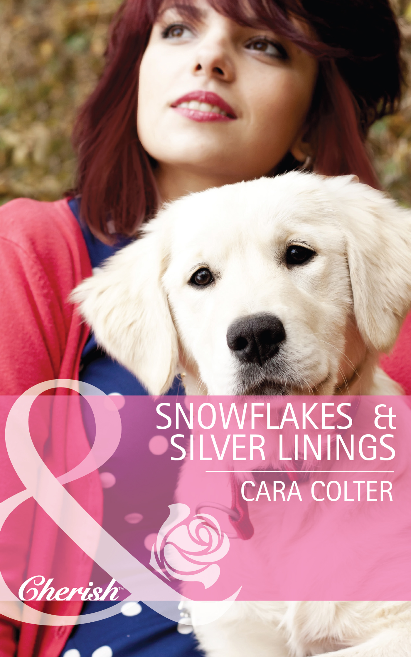 Обложка книги «Snowflakes and Silver Linings»