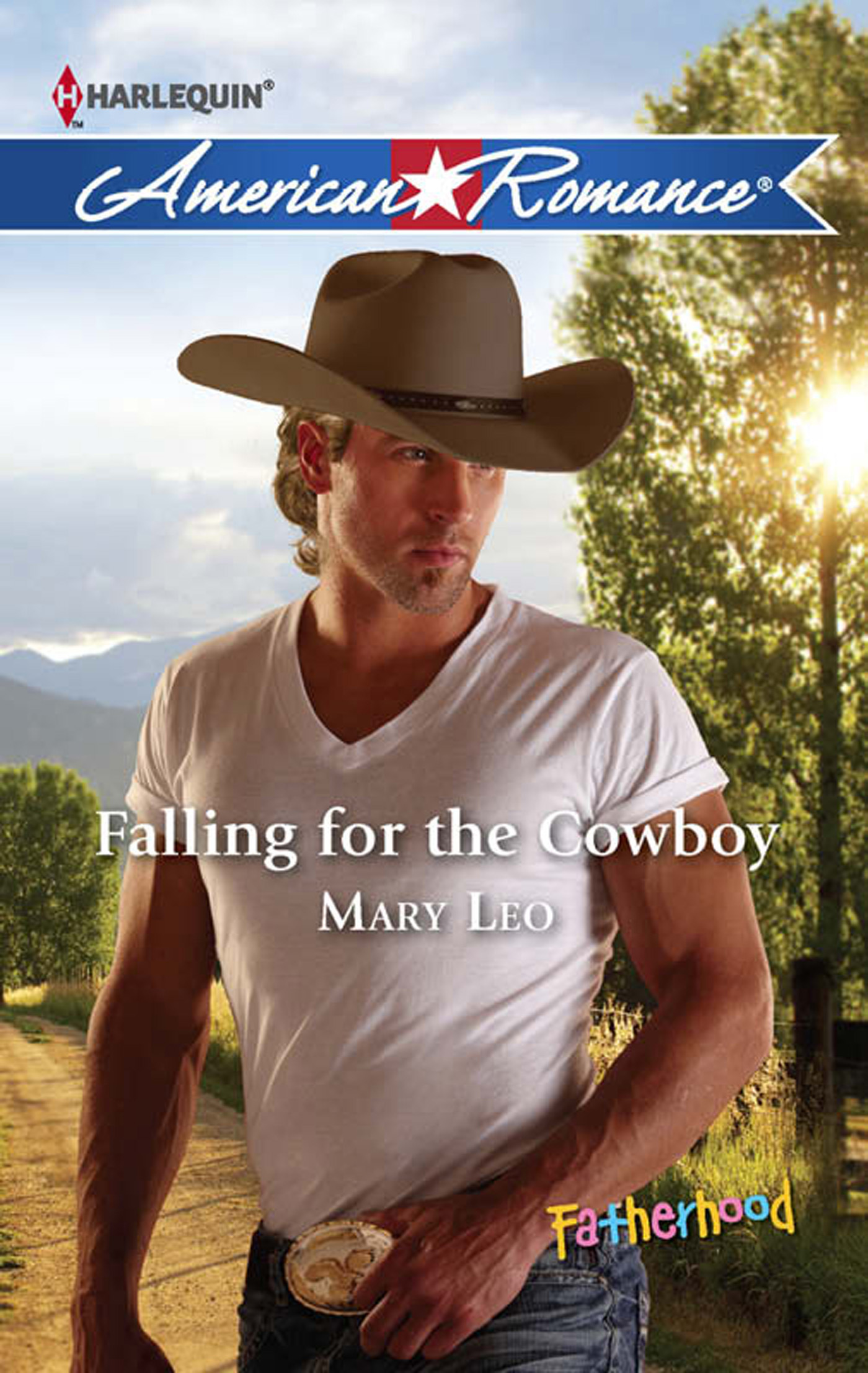 Обложка книги «Falling for the Cowboy»