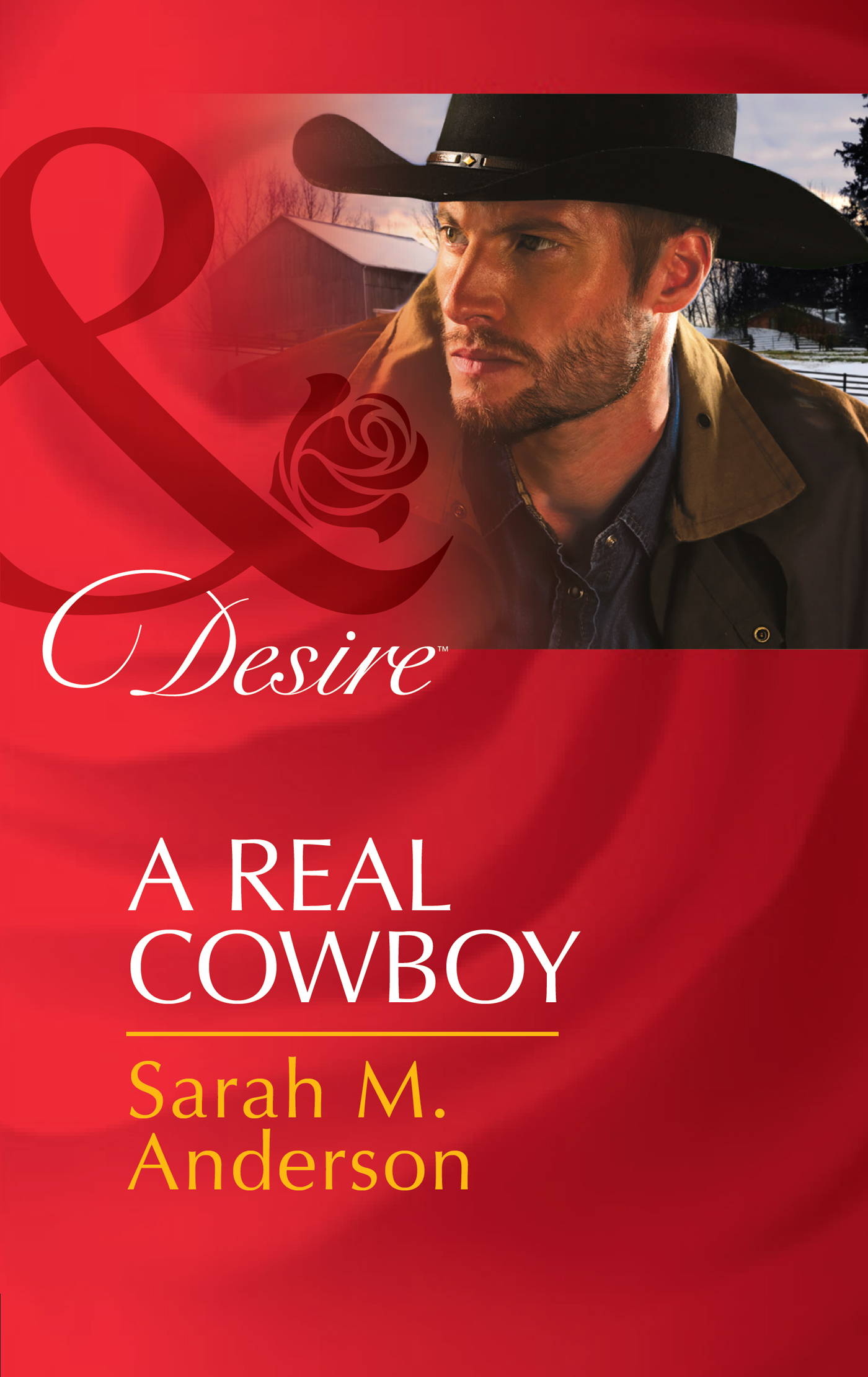 Обложка книги «A Real Cowboy»