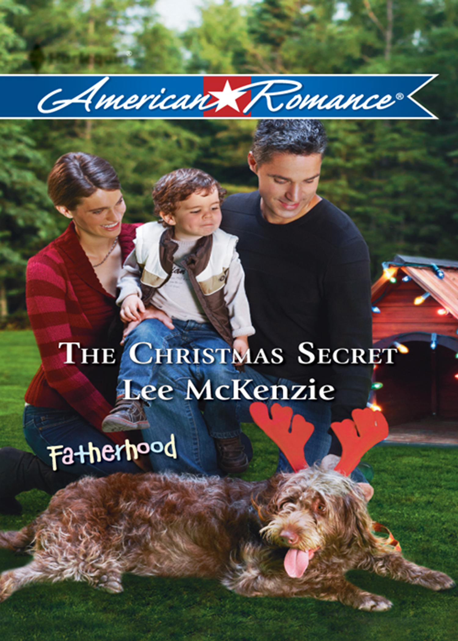 Обложка книги «The Christmas Secret»