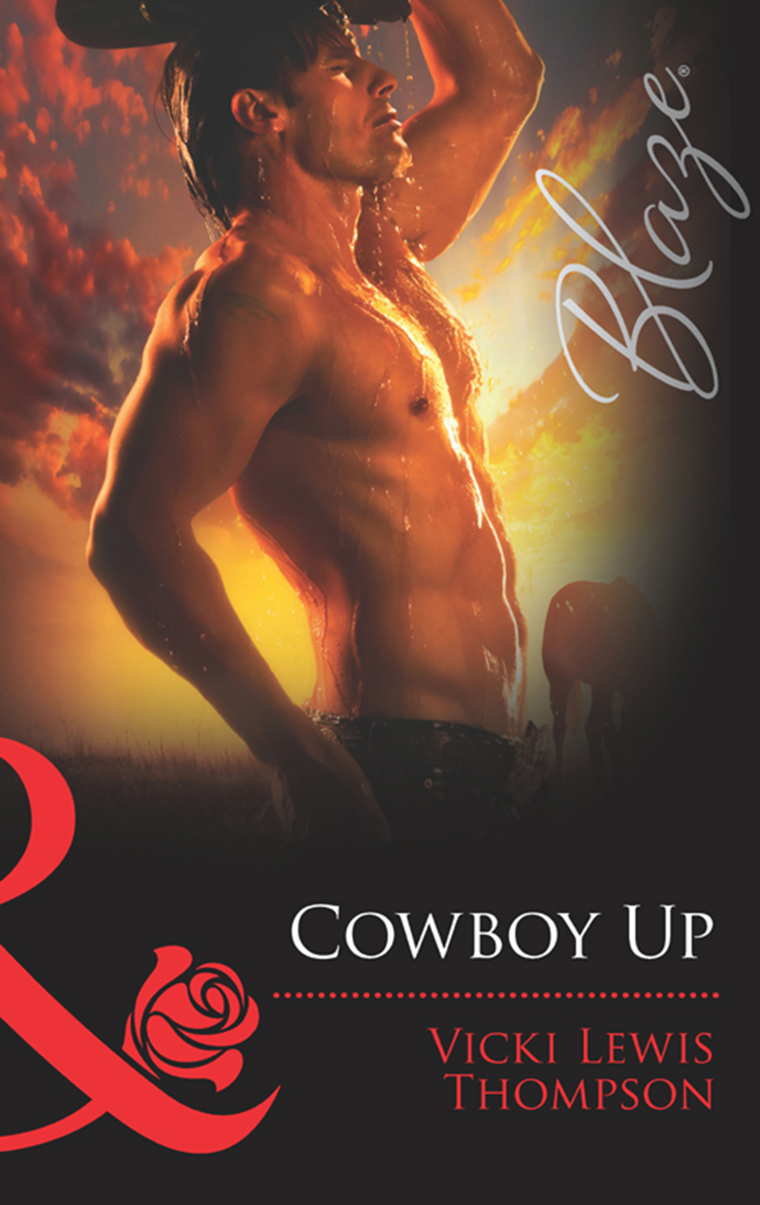 Обложка книги «Cowboy Up»