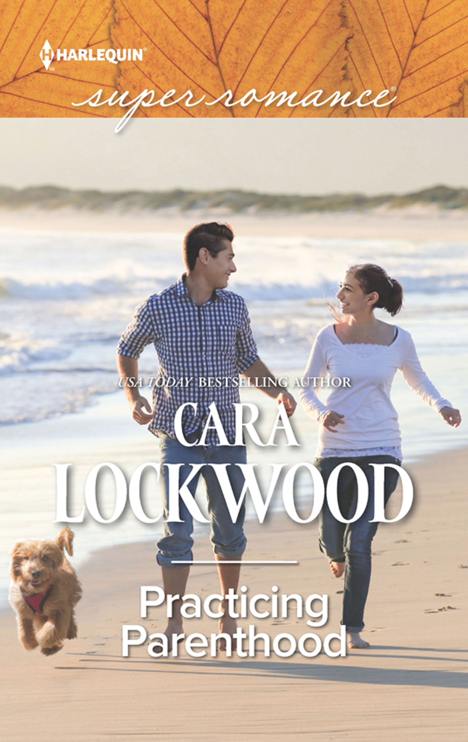 Обложка книги «Practicing Parenthood»