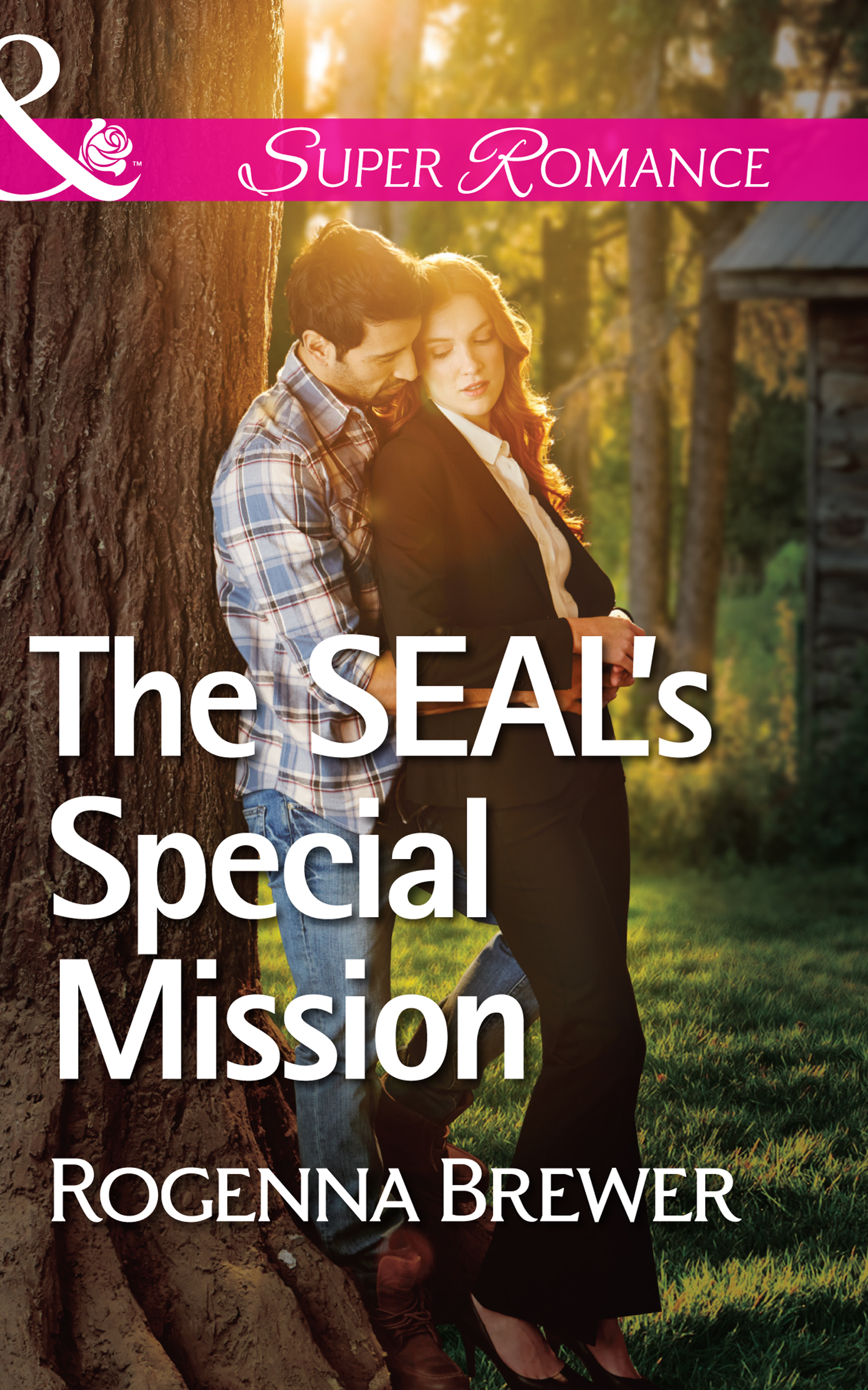 Обложка книги «The SEAL's Special Mission»