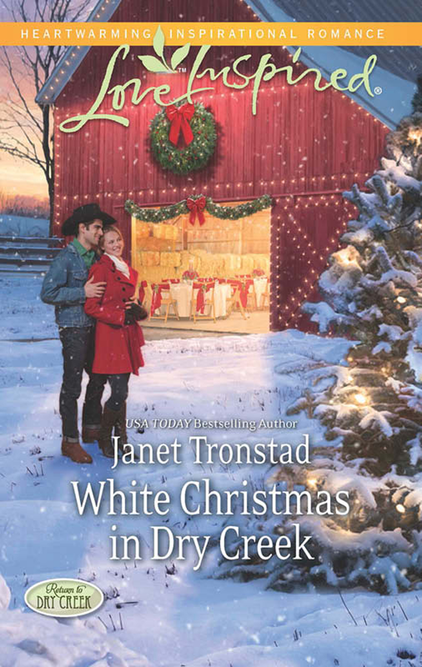 Обложка книги «White Christmas in Dry Creek»