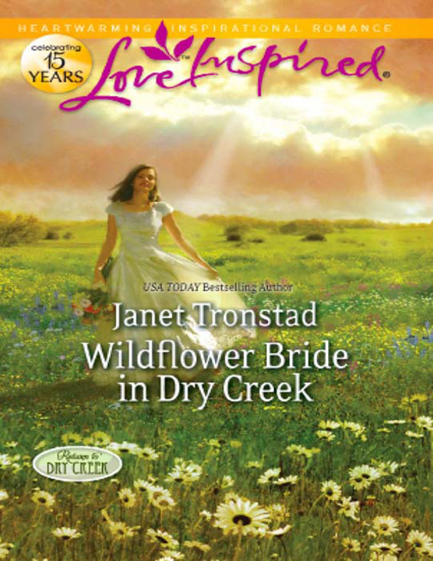 Обложка книги «Wildflower Bride in Dry Creek»